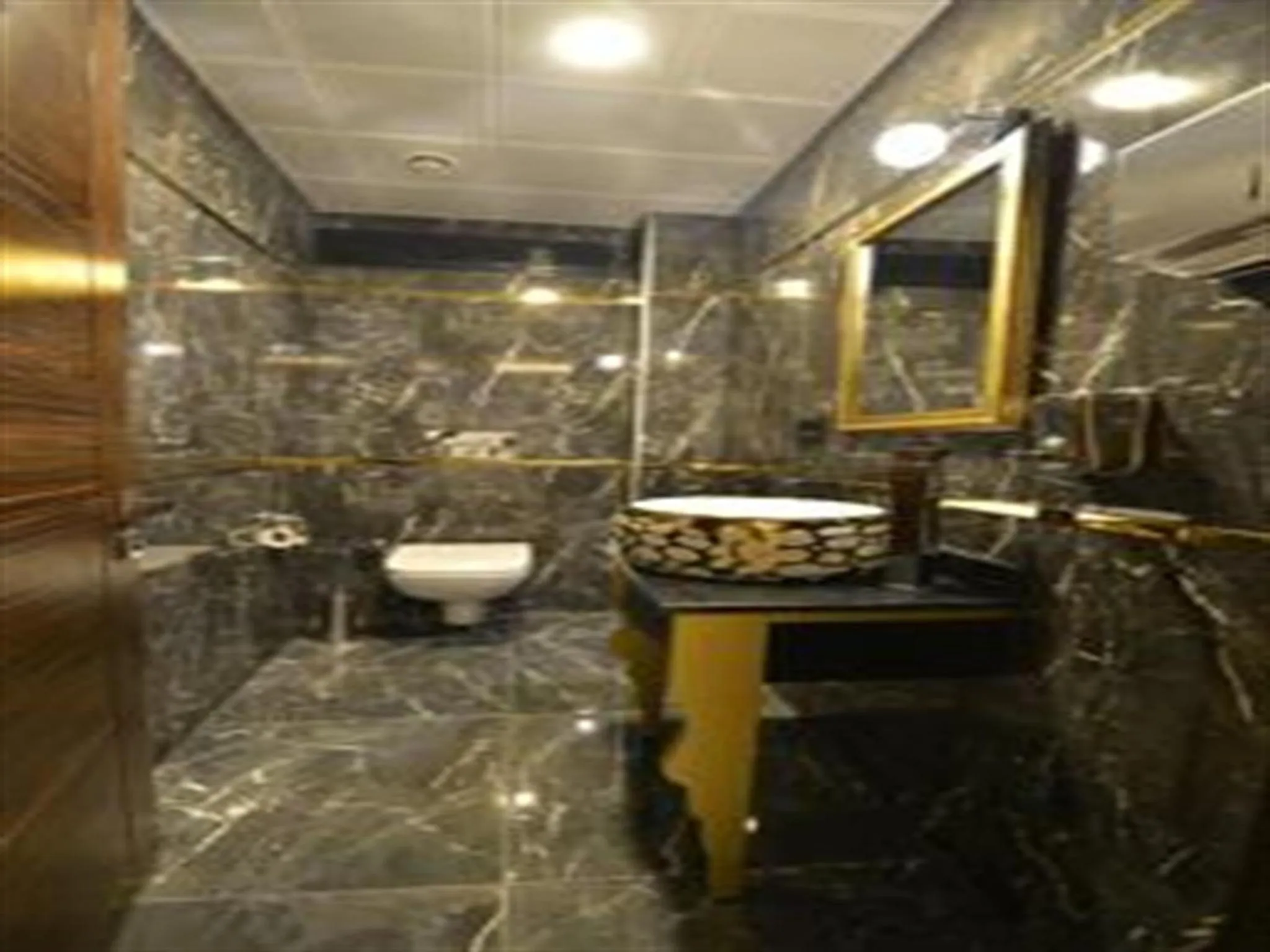 Area and facilities in Golden Siyav Hotel