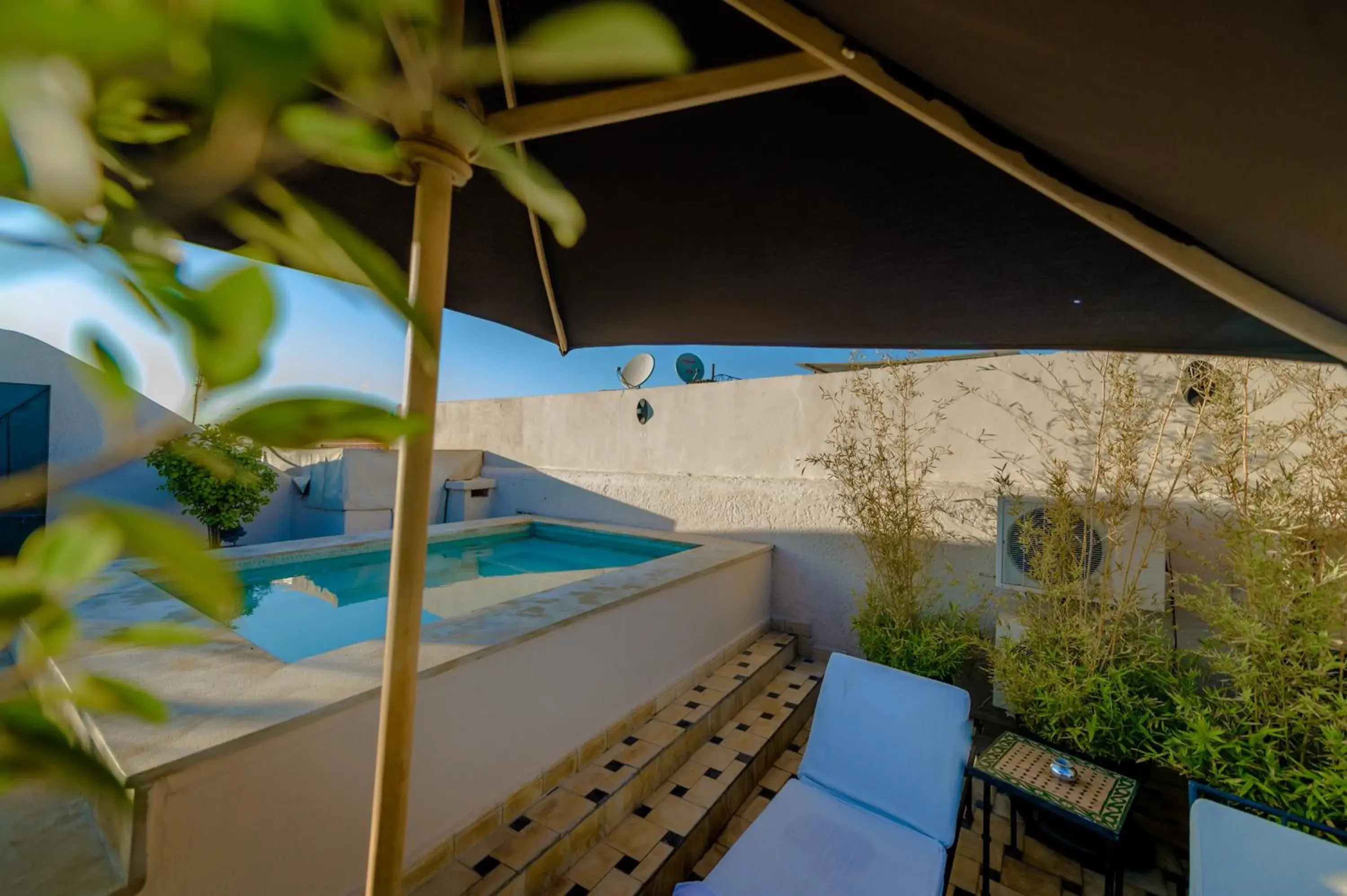 Riad Amina Riad Amina