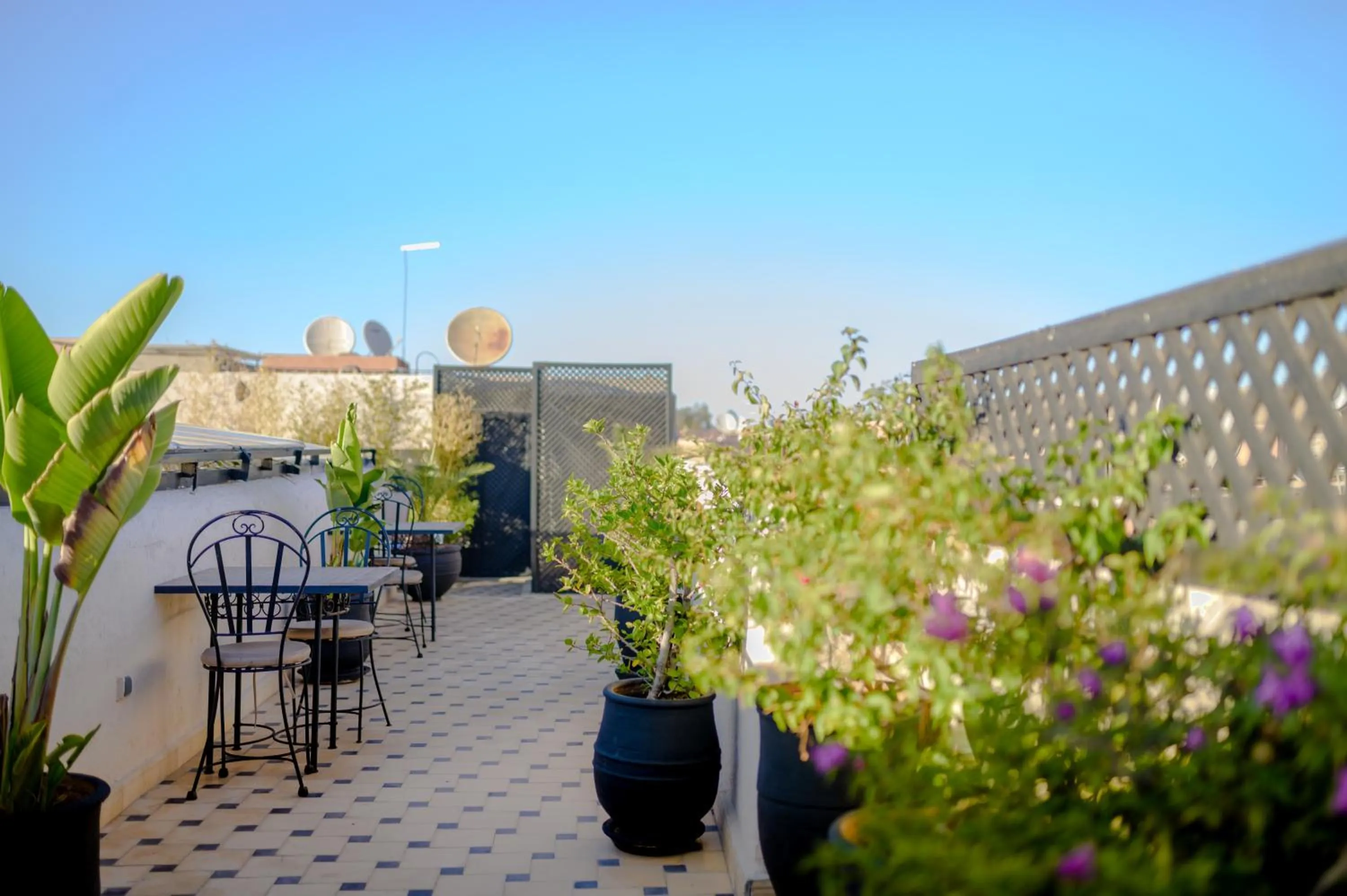 Patio in Riad Amina