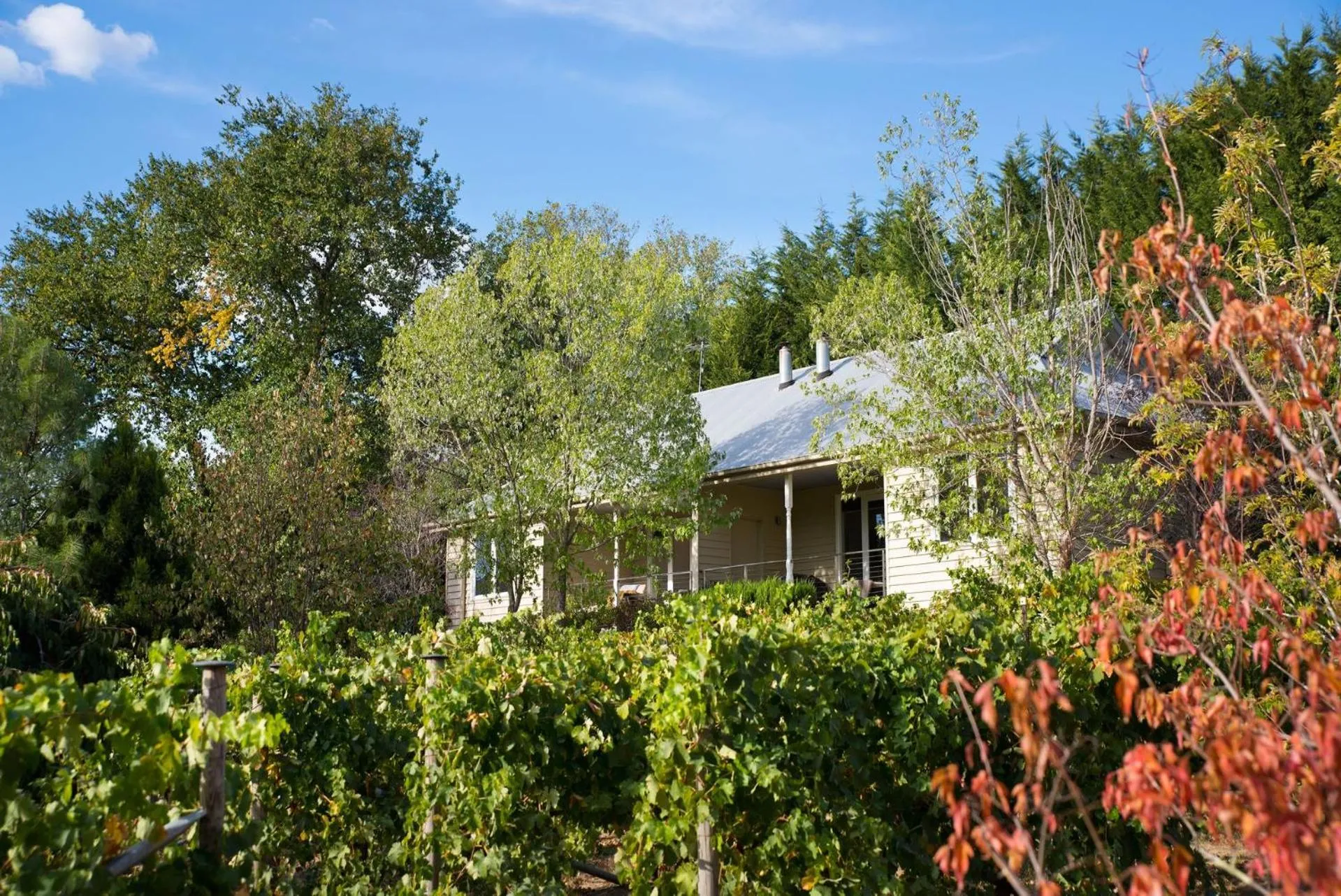 Provence Spa Villa 1