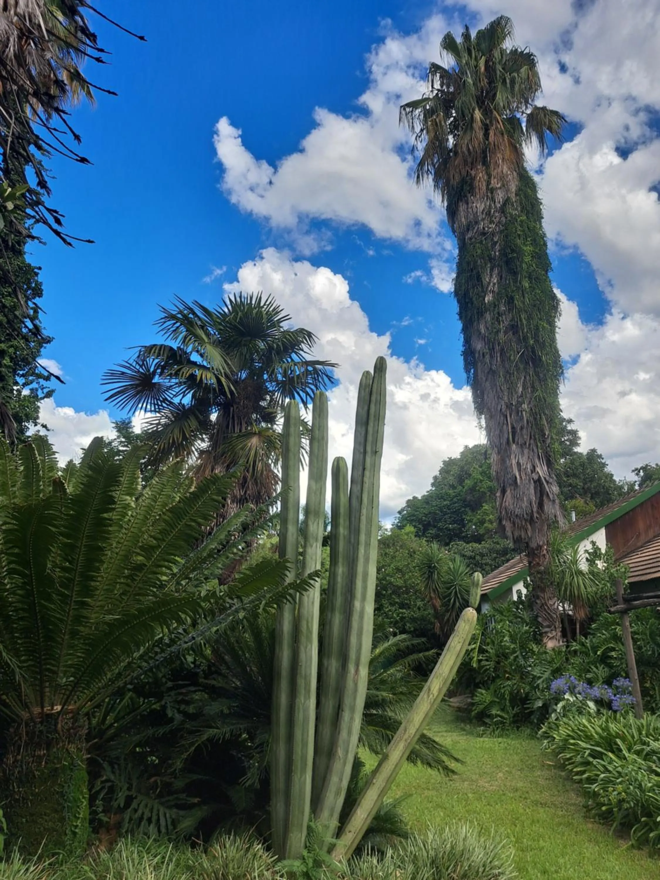President Paul Kruger Guest Lodge