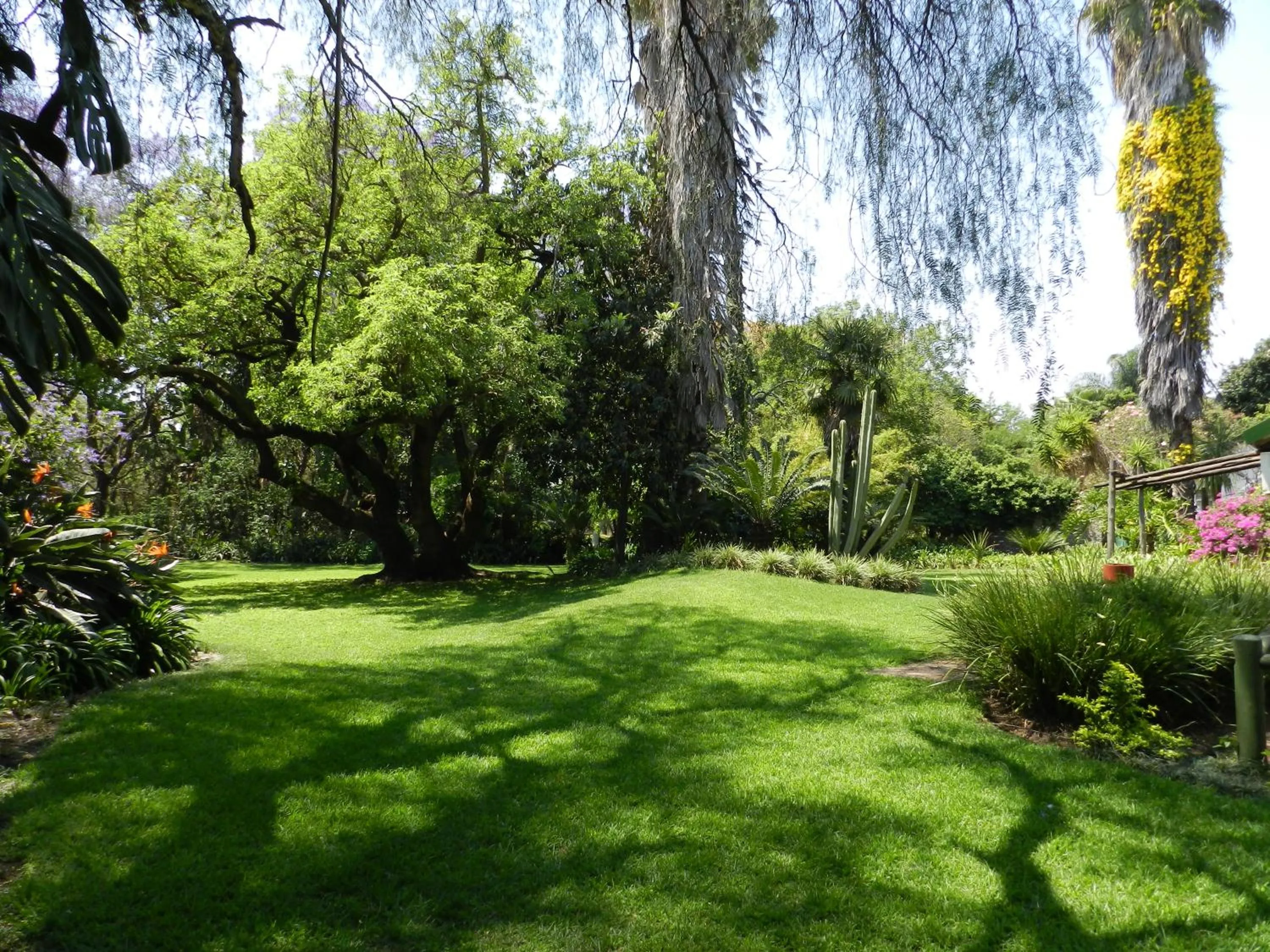 Garden in President Paul Kruger Guest Lodge