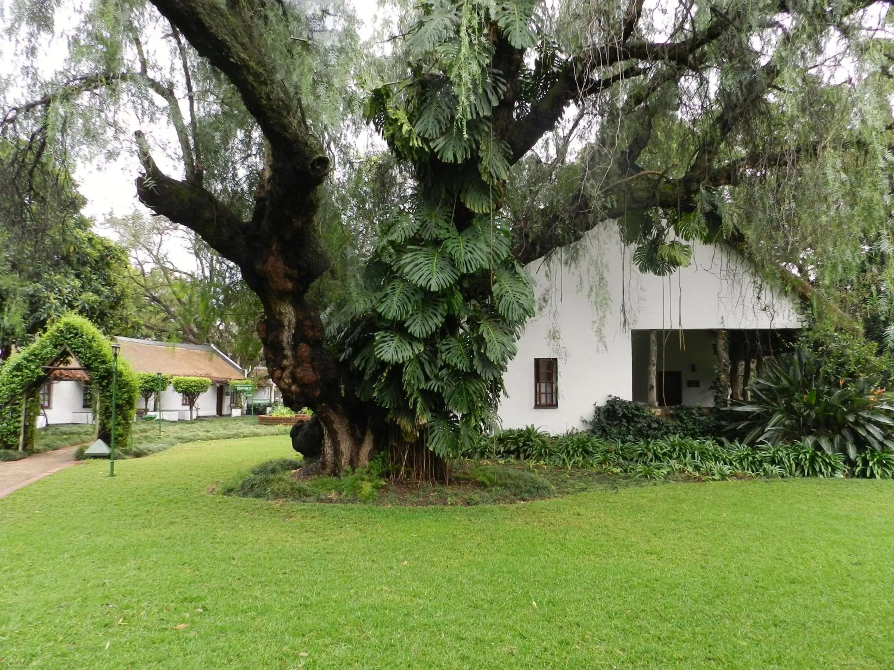 Garden in President Paul Kruger Guest Lodge
