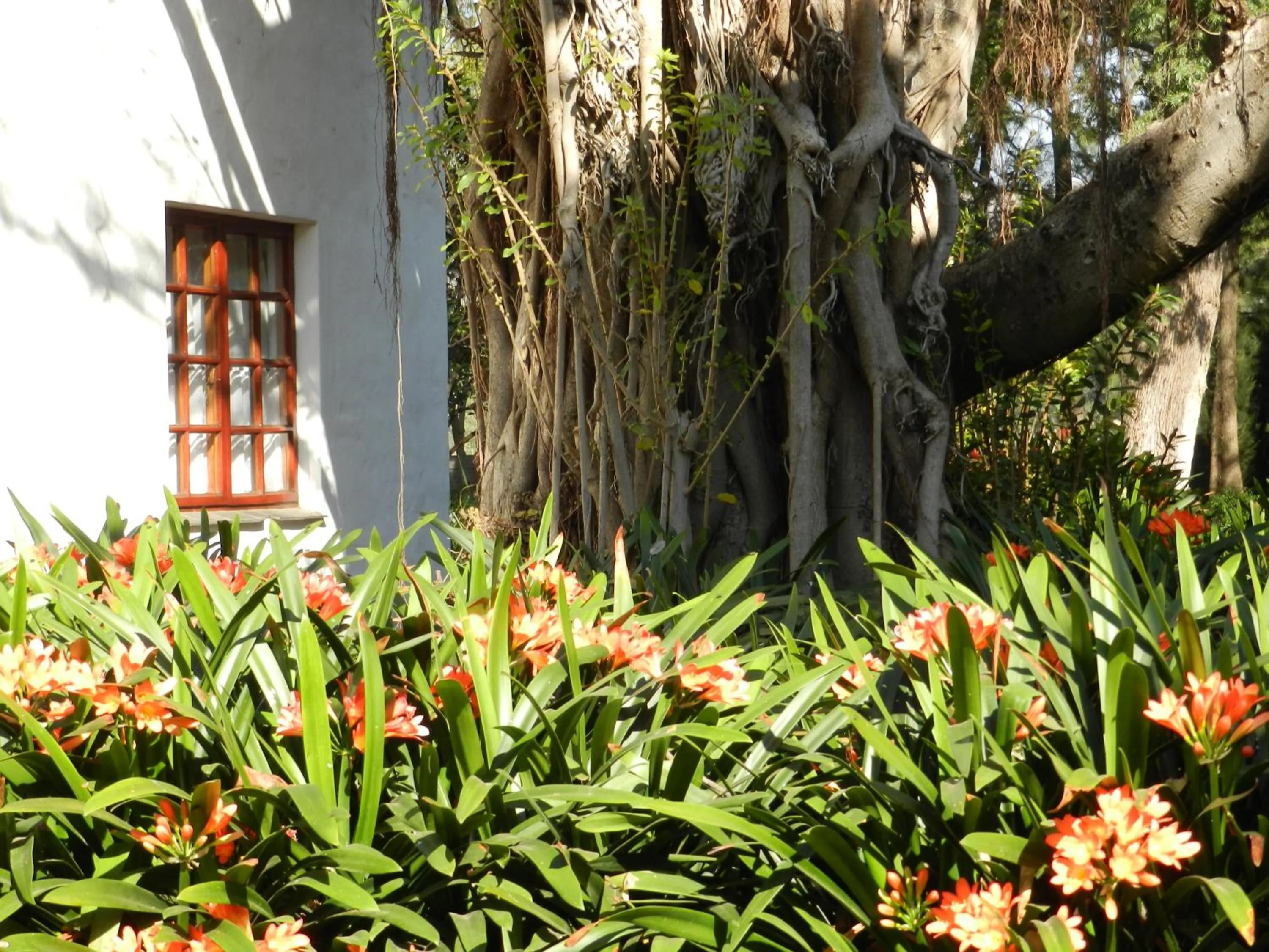 Property building in President Paul Kruger Guest Lodge