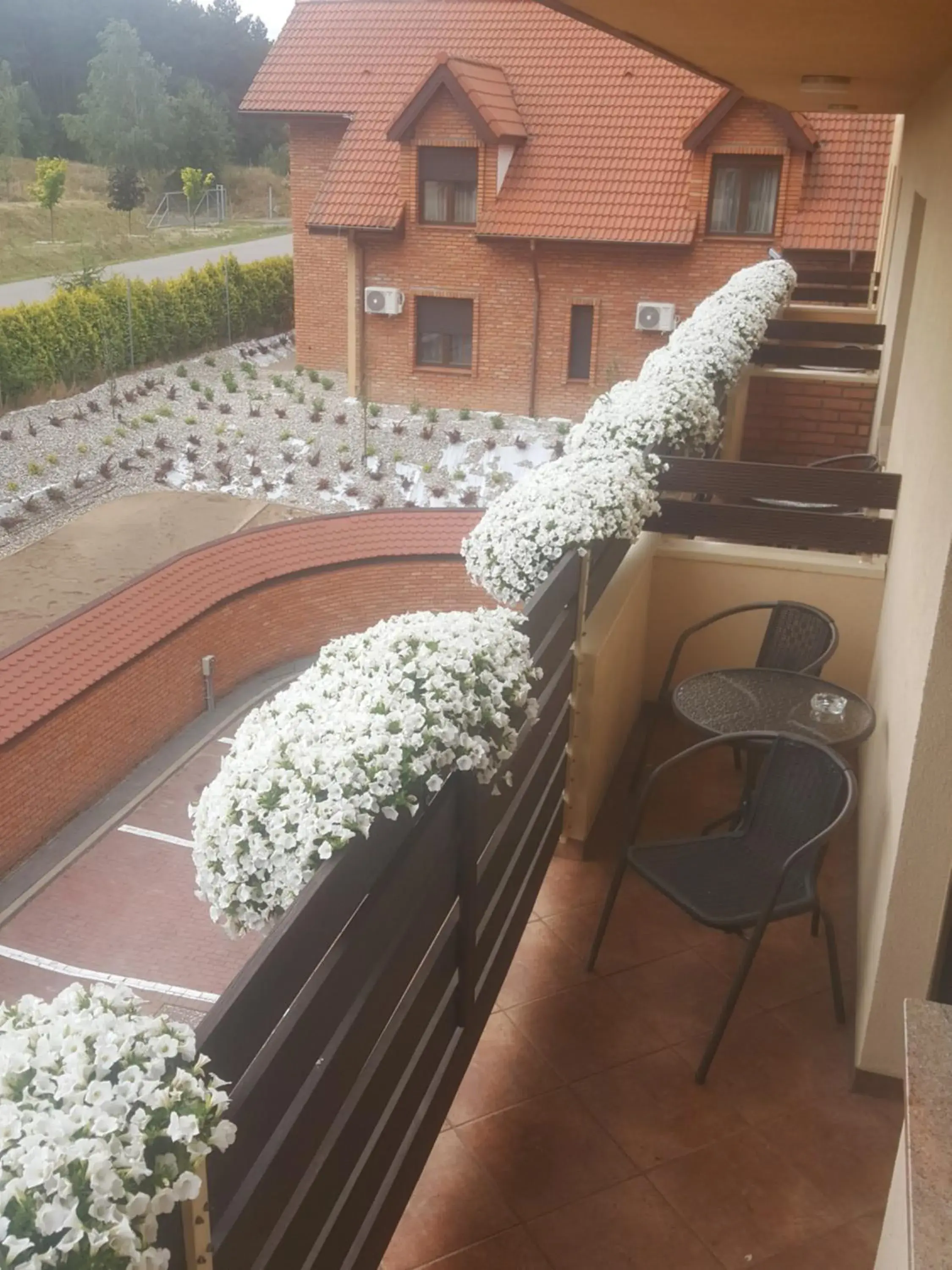 Twin Room in Hotel Fox Twin Room in Hotel Fox