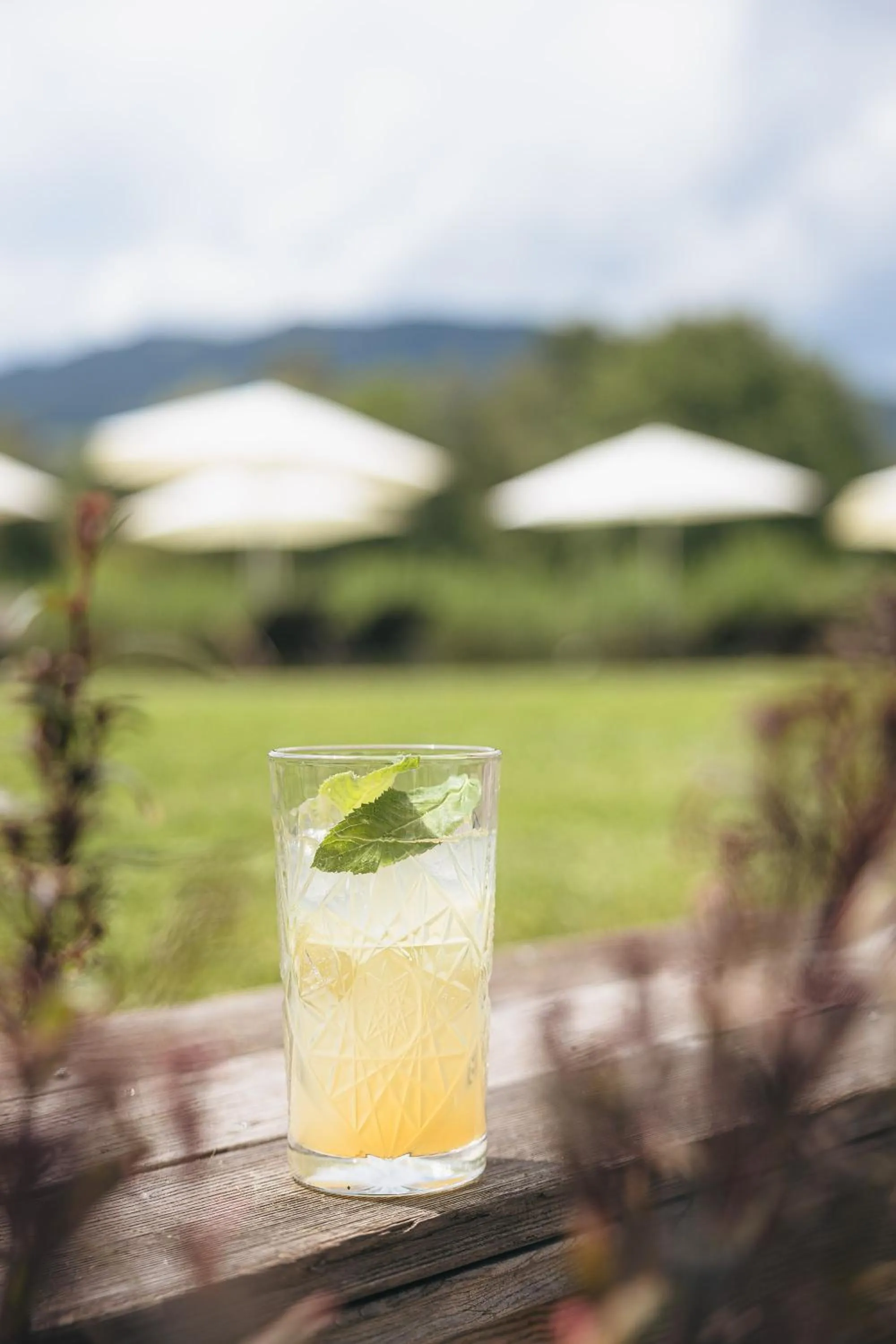 Lounge or bar in Ritzenhof - Hotel und Spa am See 4-Sterne-Superior