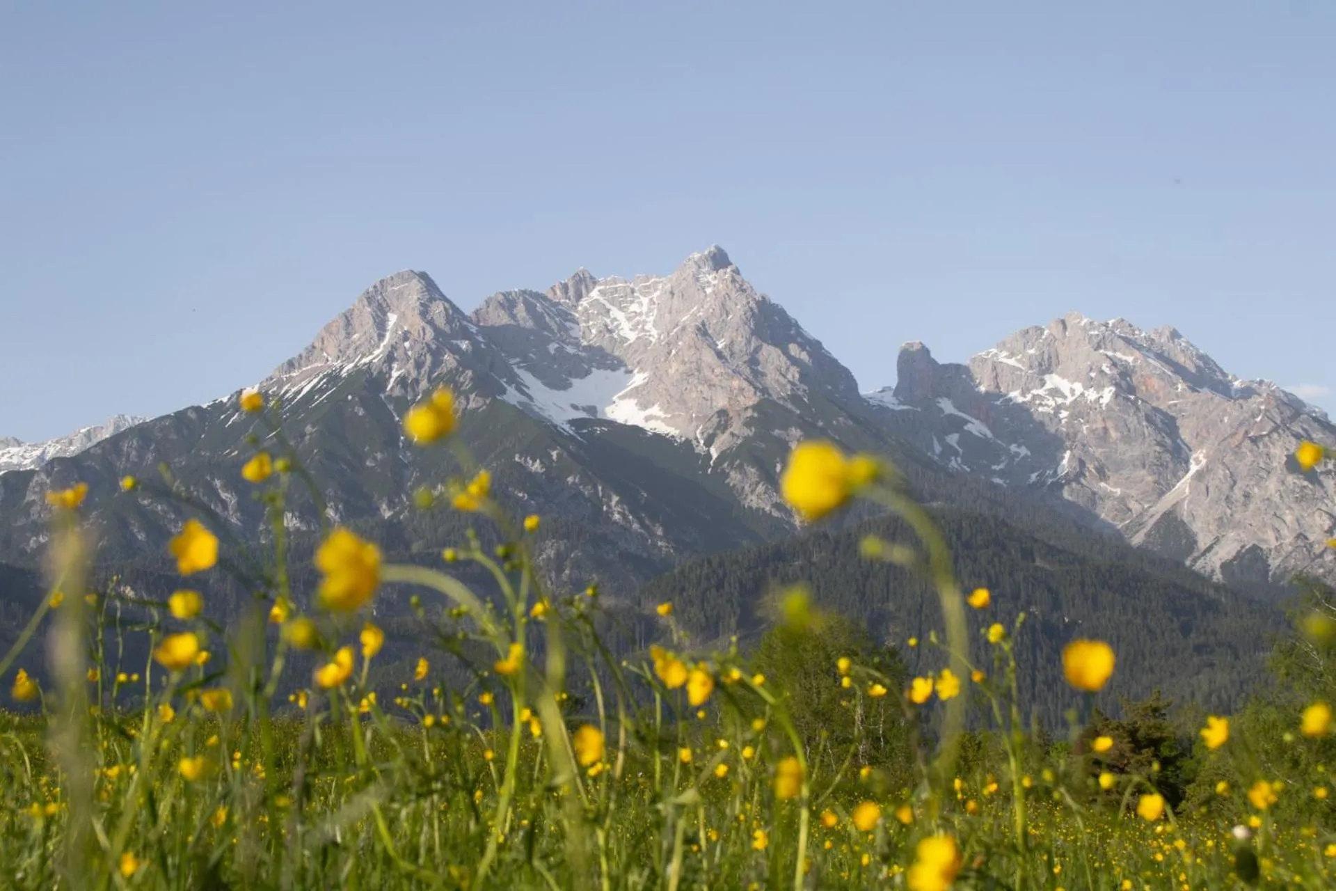View (from property/room) in Ritzenhof - Hotel und Spa am See 4-Sterne-Superior
