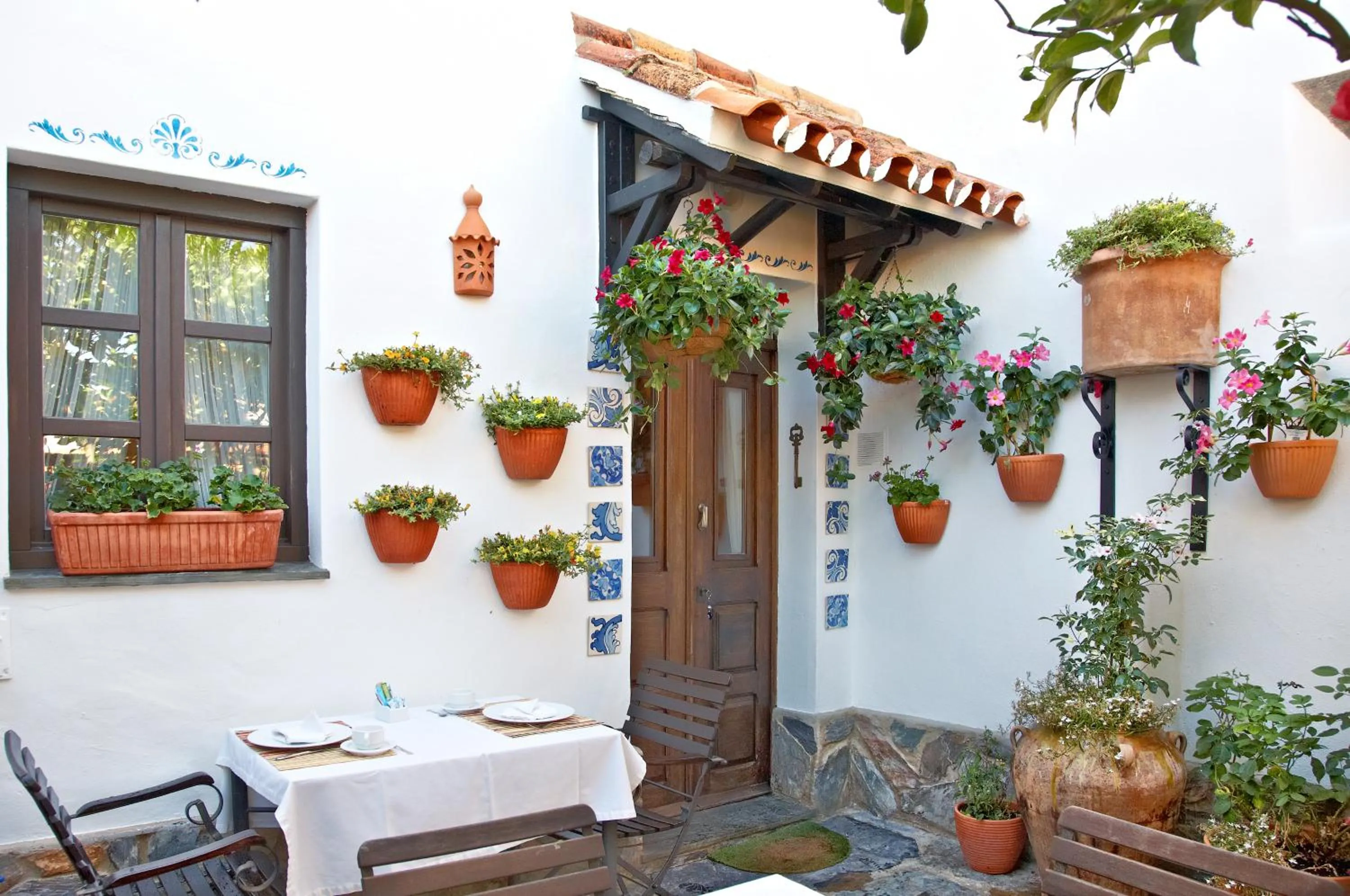 Garden in Casa Pinto