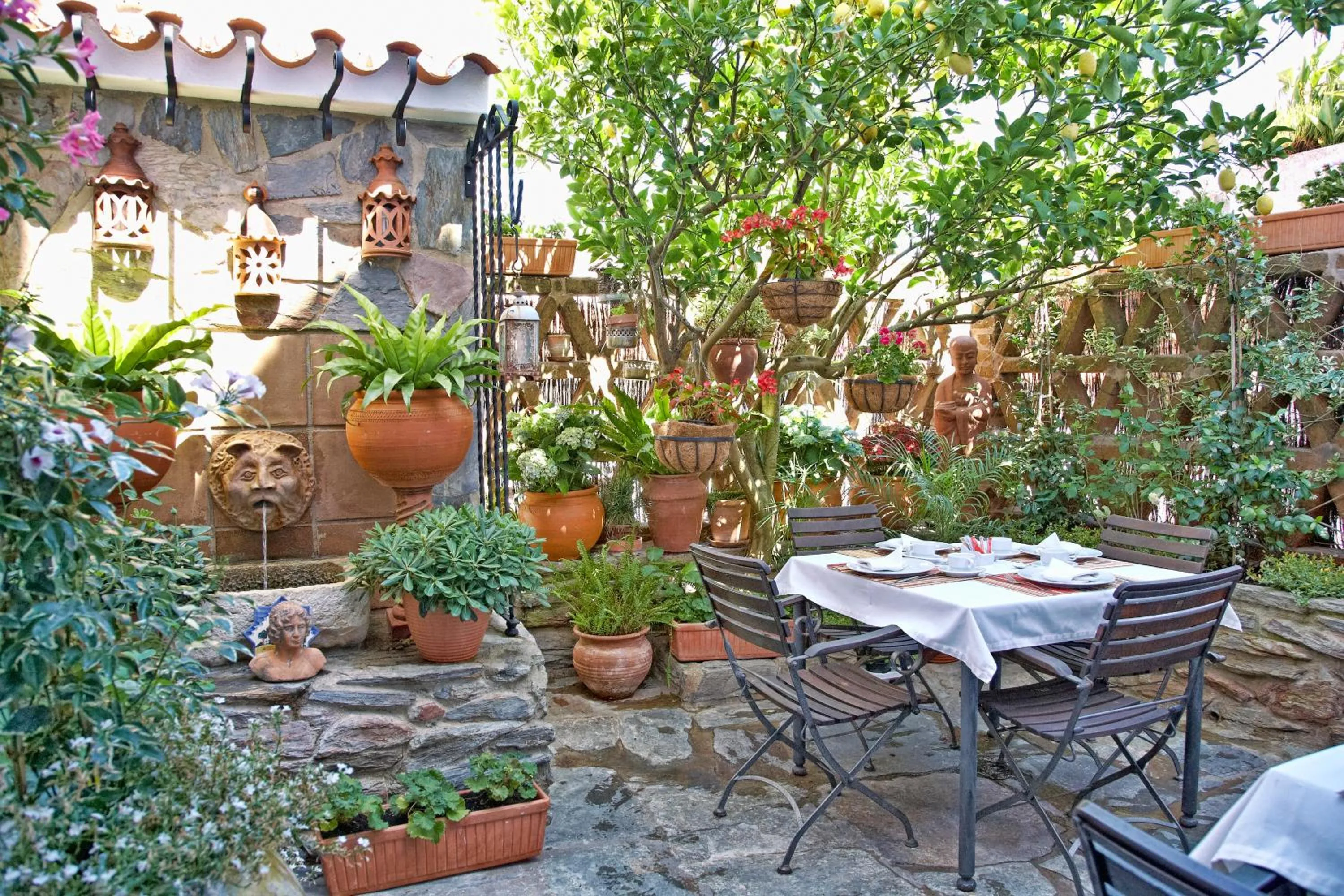 Garden in Casa Pinto