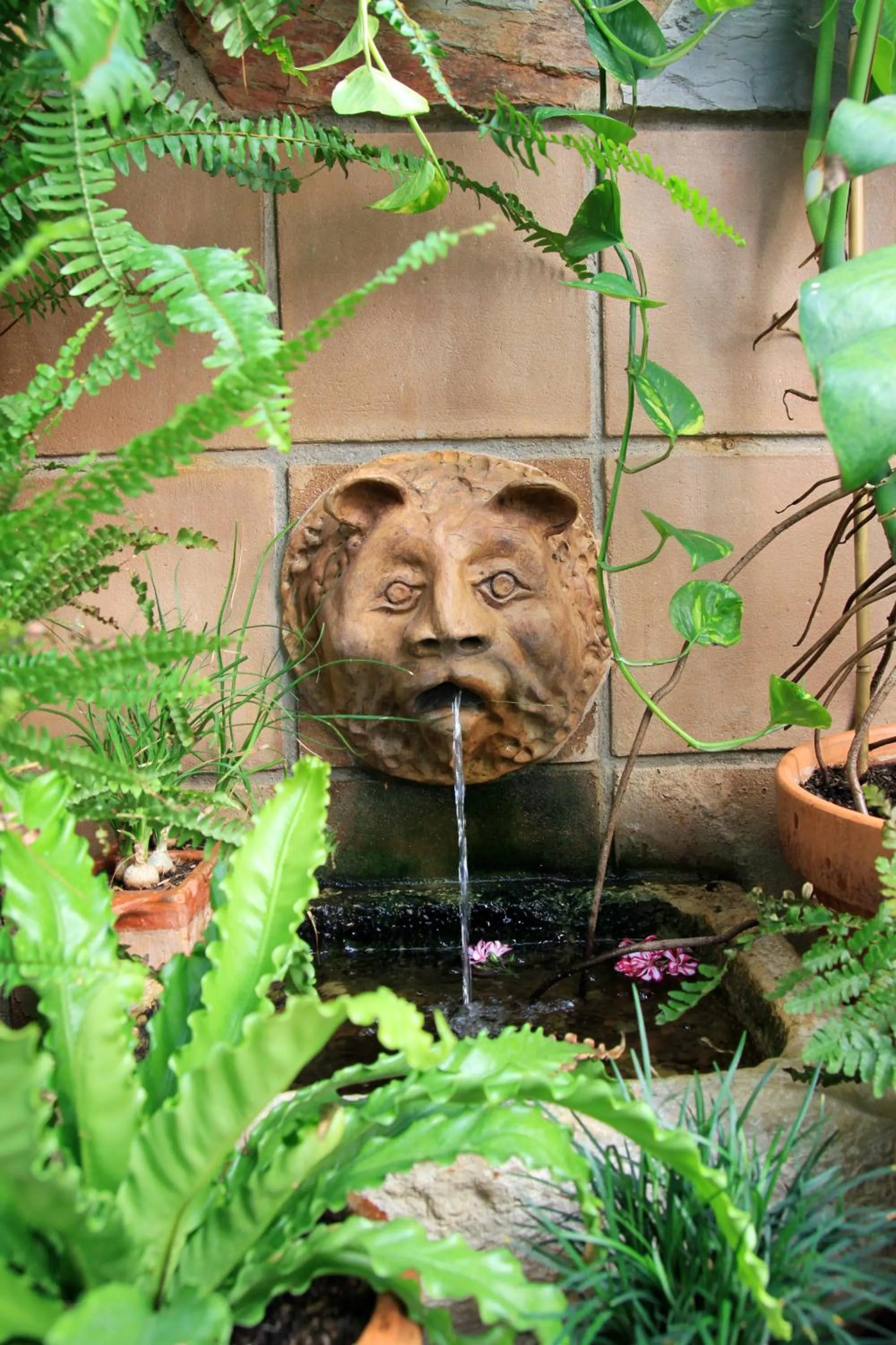 Lounge or bar in Casa Pinto