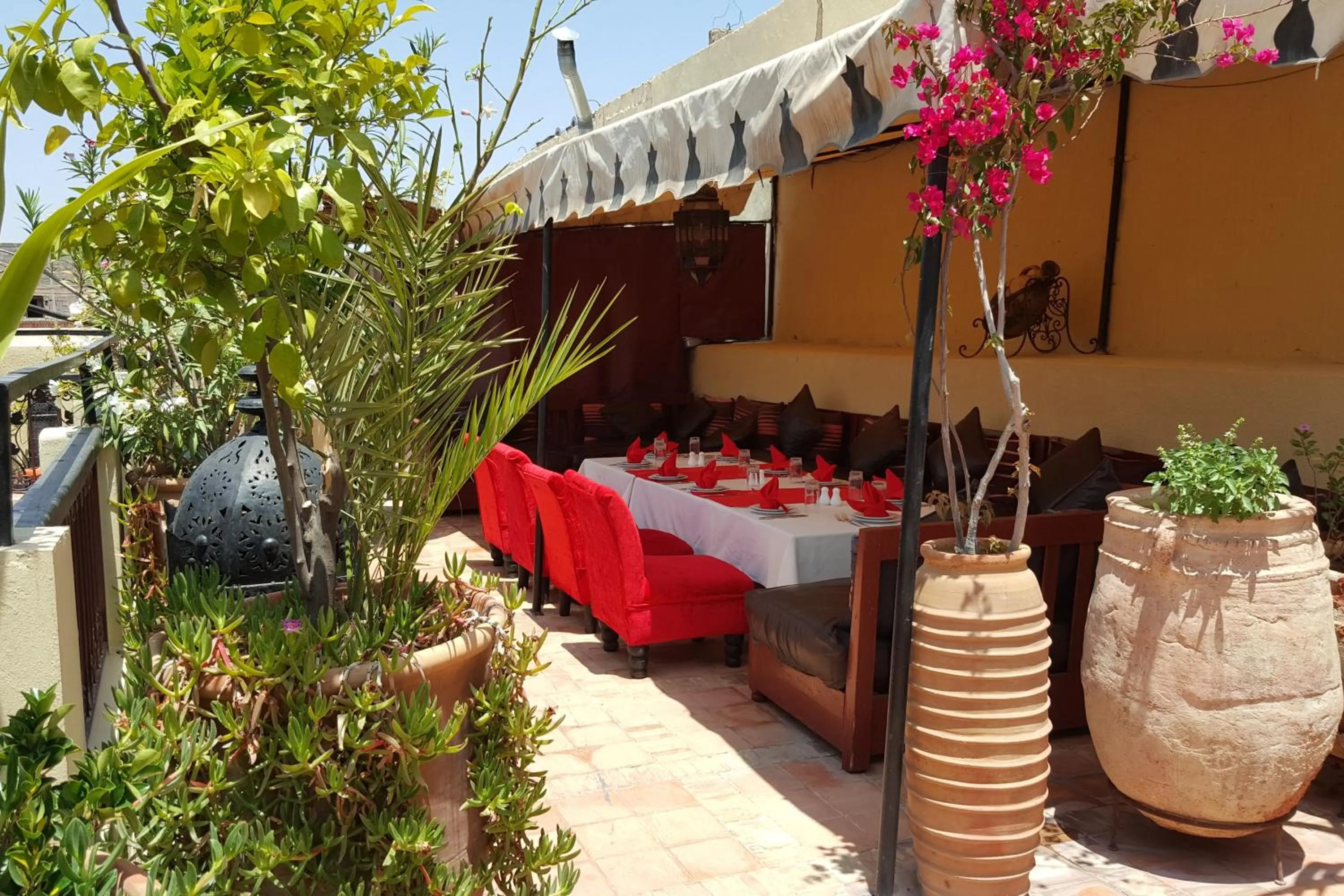 Balcony/Terrace in Riad Africa - Marrakech Medina Maison d'Hote