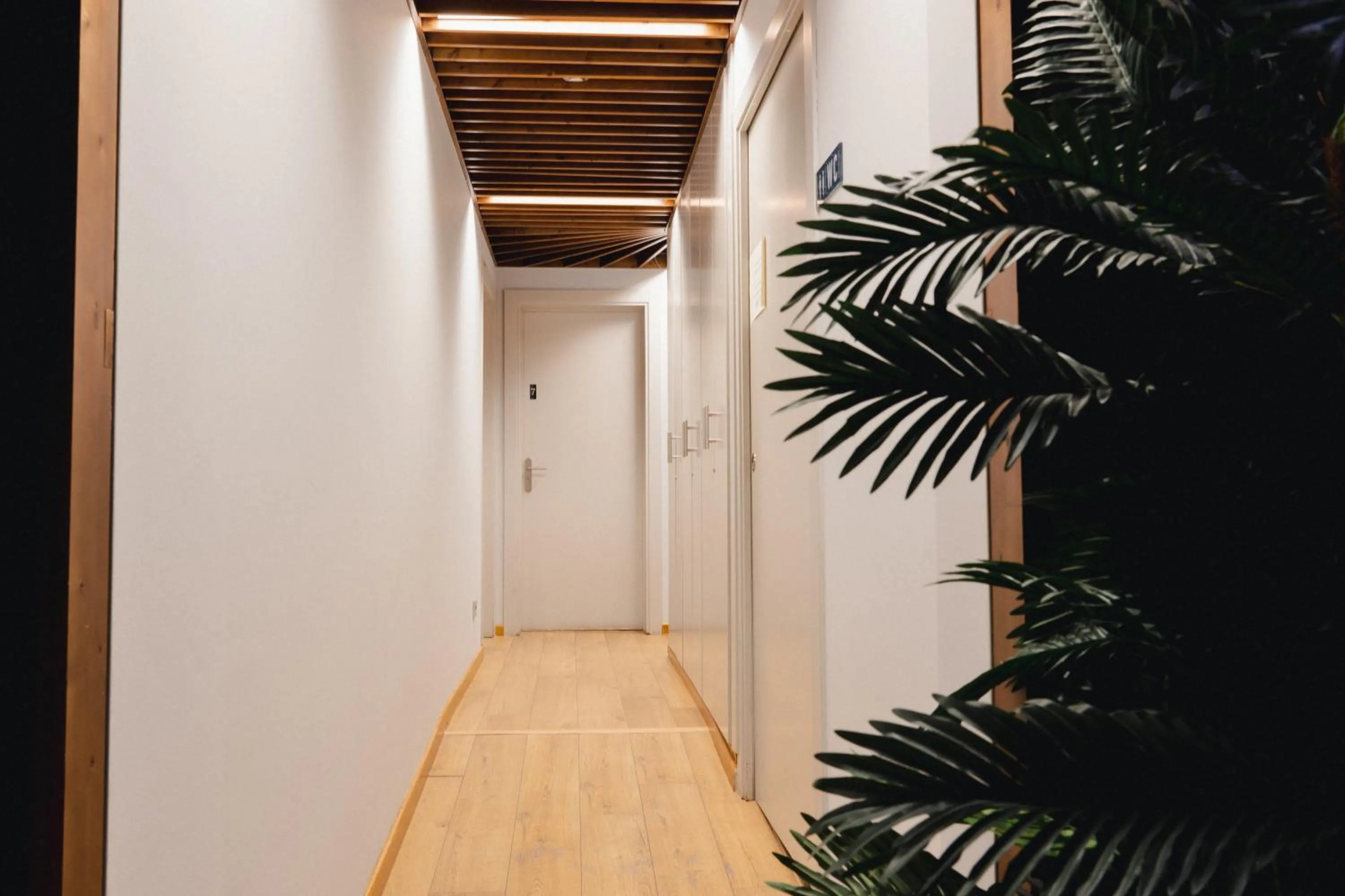 Patio in Cosmopolitan Boutique Rambla