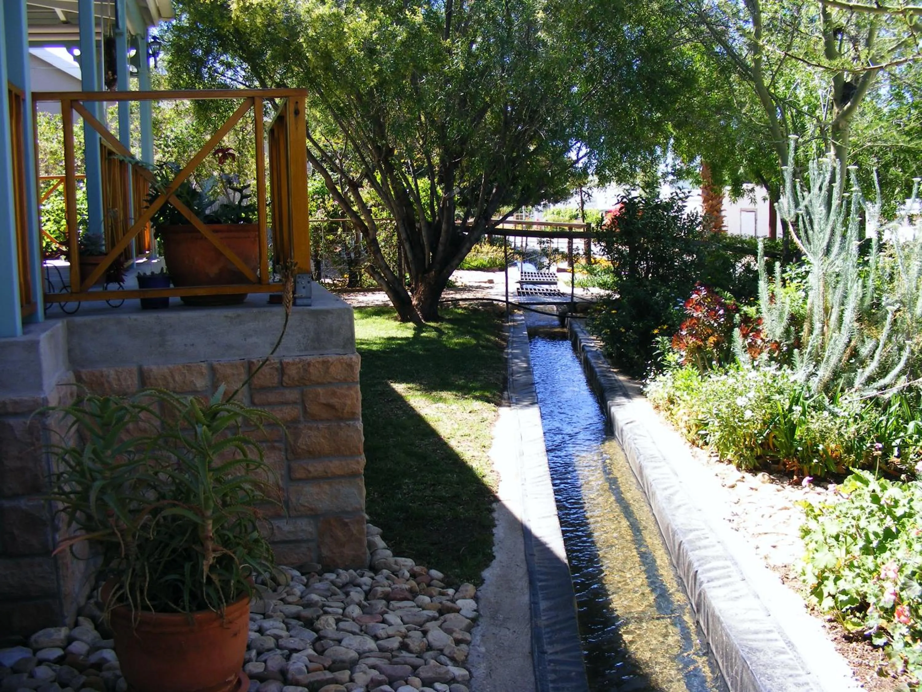 Garden in Karoo Chat