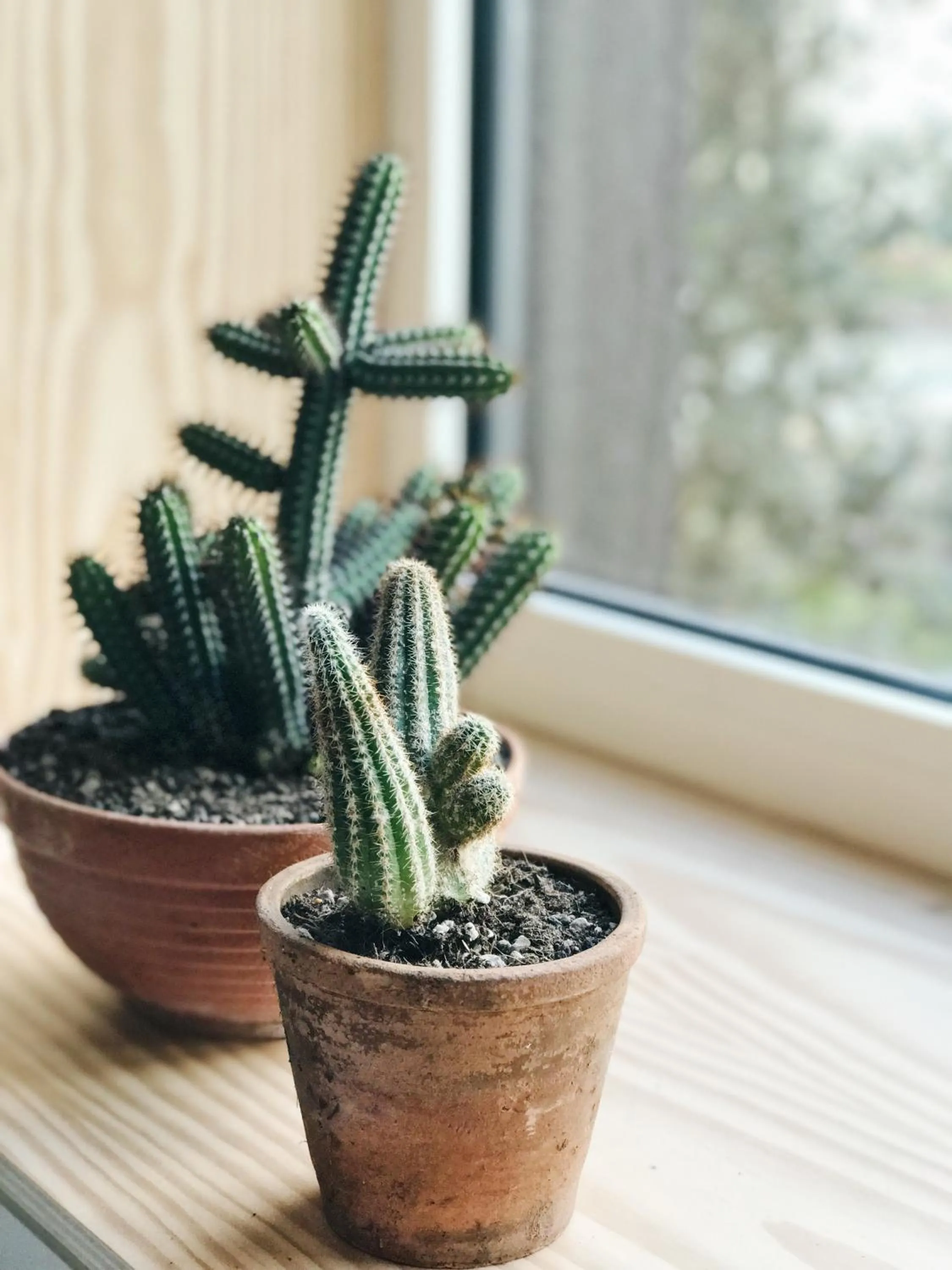 Bedroom in Latroupe Hotel Jardin Secret