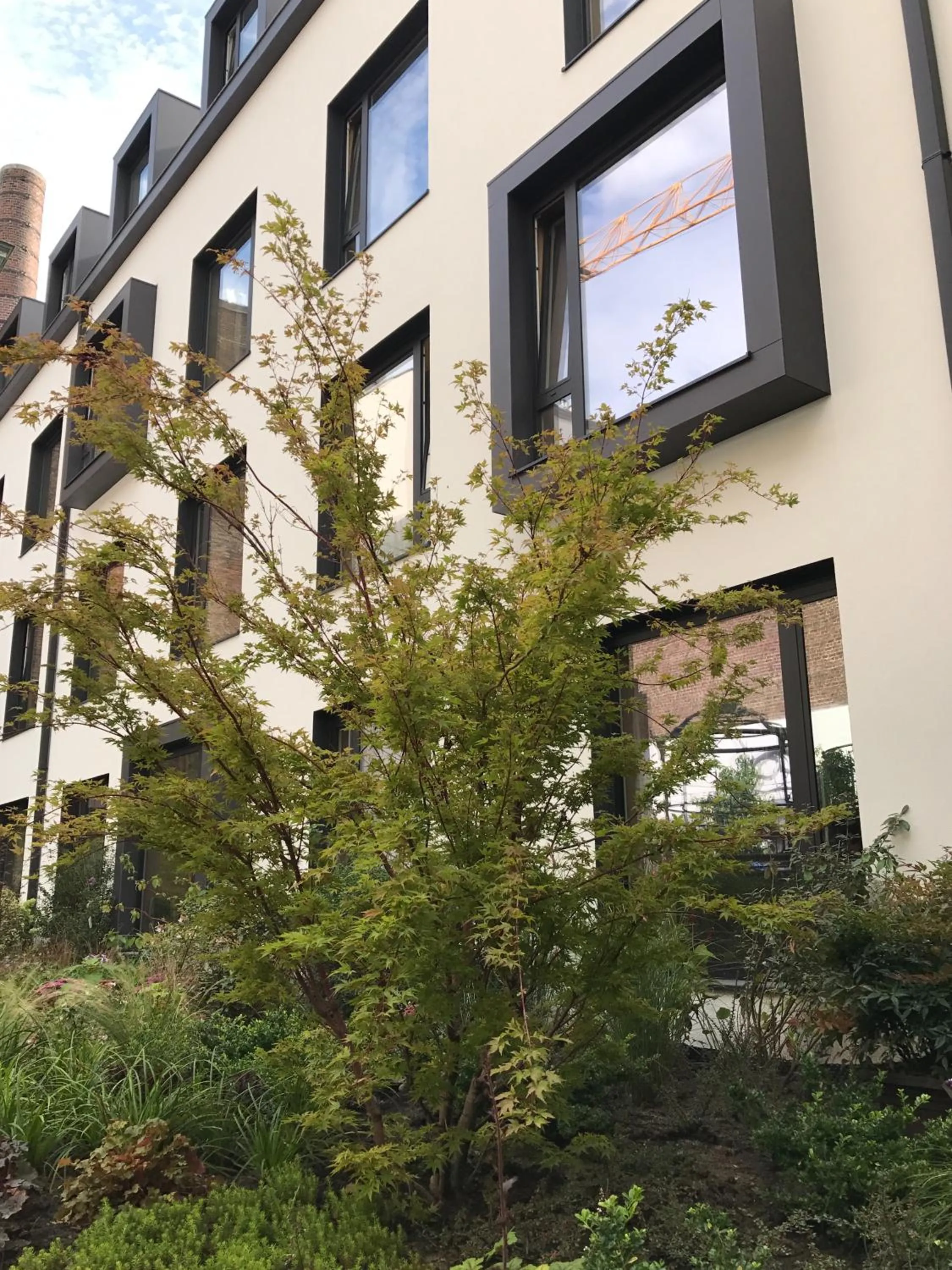 Facade/entrance in Latroupe Hotel Jardin Secret