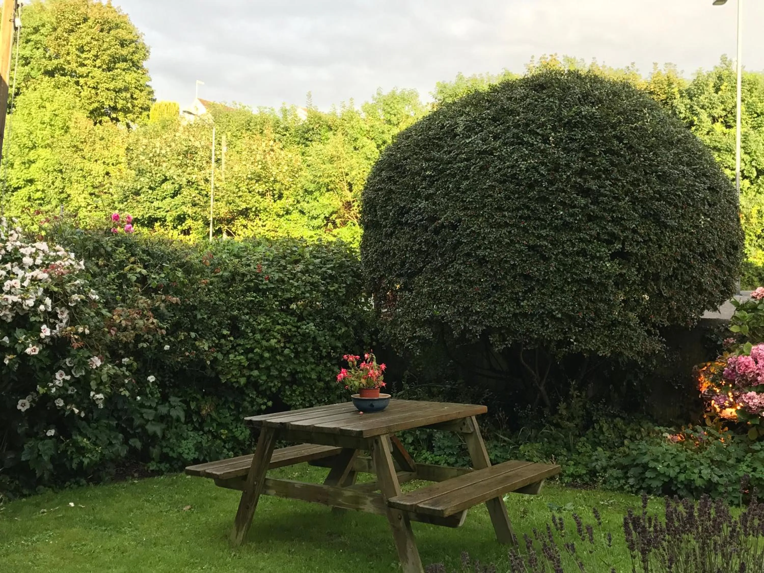 Garden in SPRING GARDENS B&B