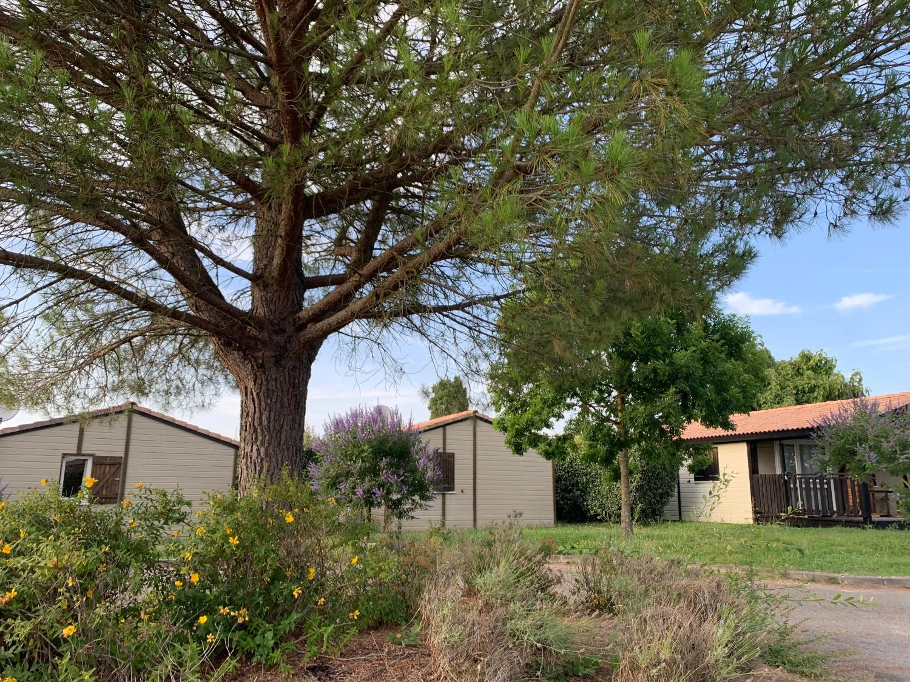 Garden in Terres de France - Les Hameaux des Lacs
