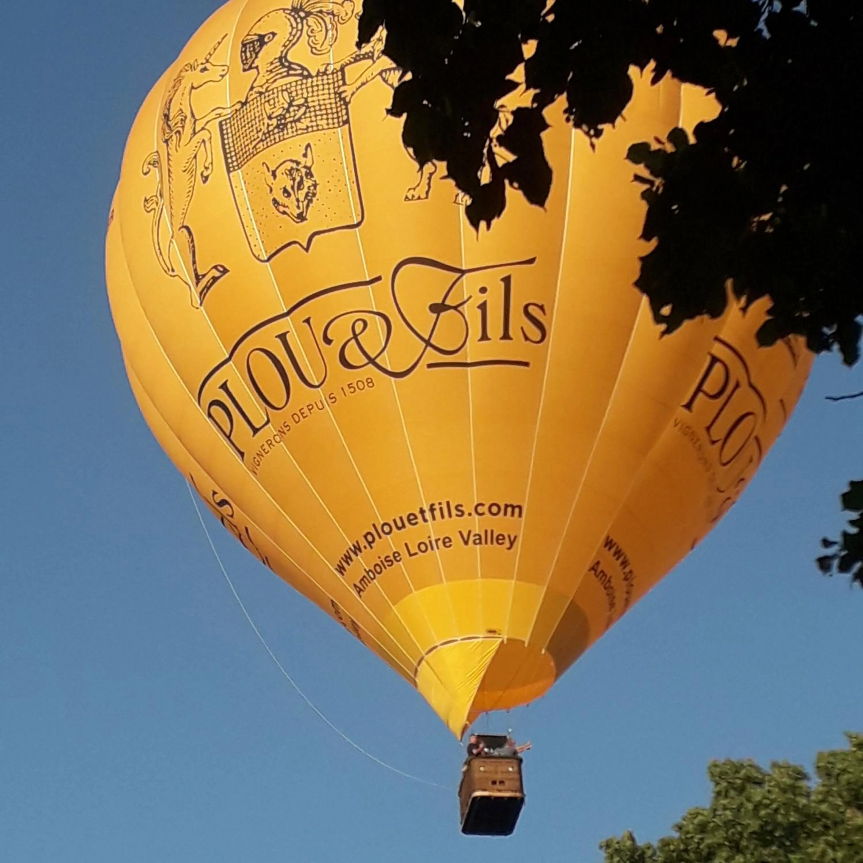 Activities in Villa Le Clos de Mosny