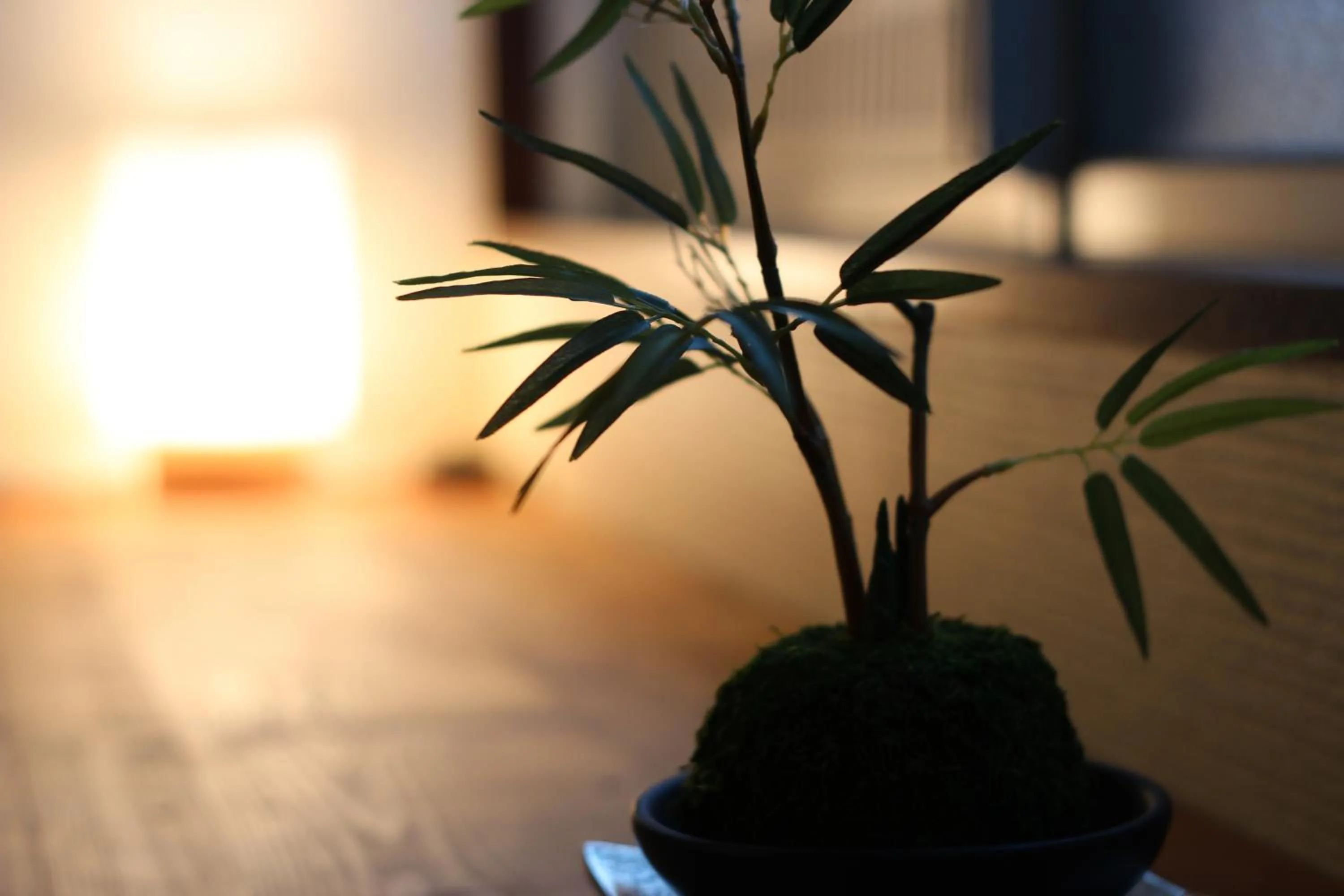 Decorative detail in Vacational Rental Sunny Heights