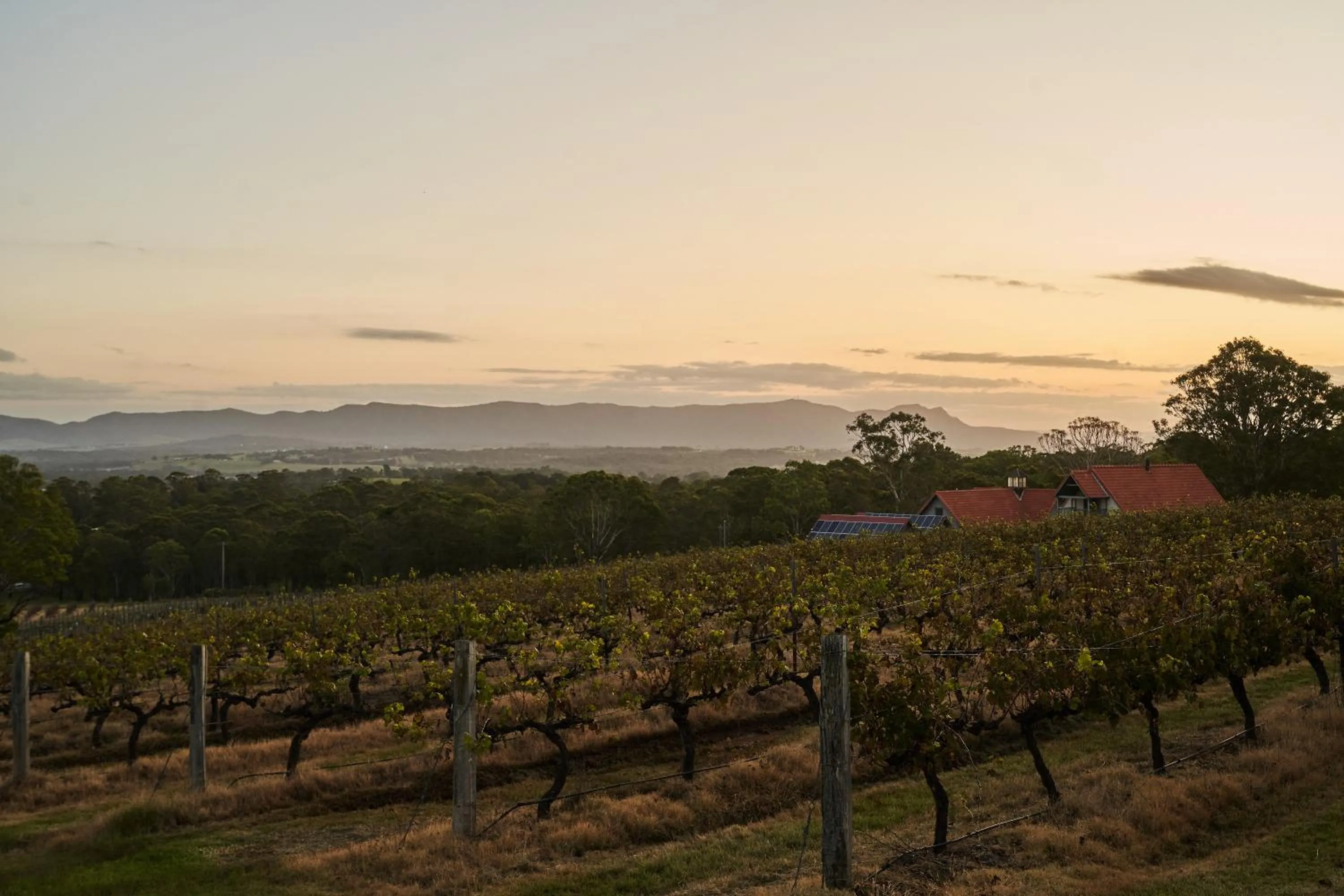 Garden view in Wandin Valley Estate