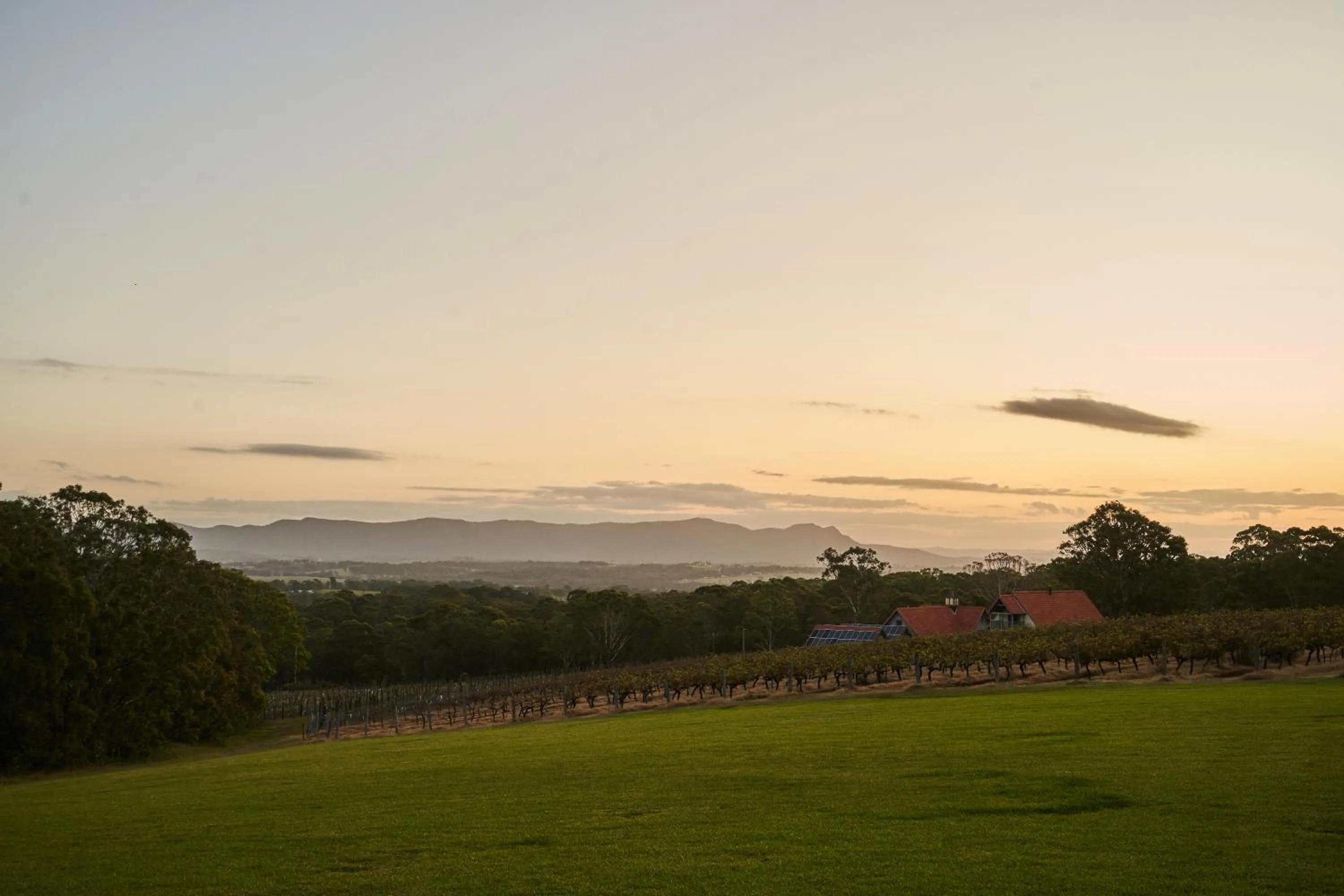Garden view in Wandin Valley Estate