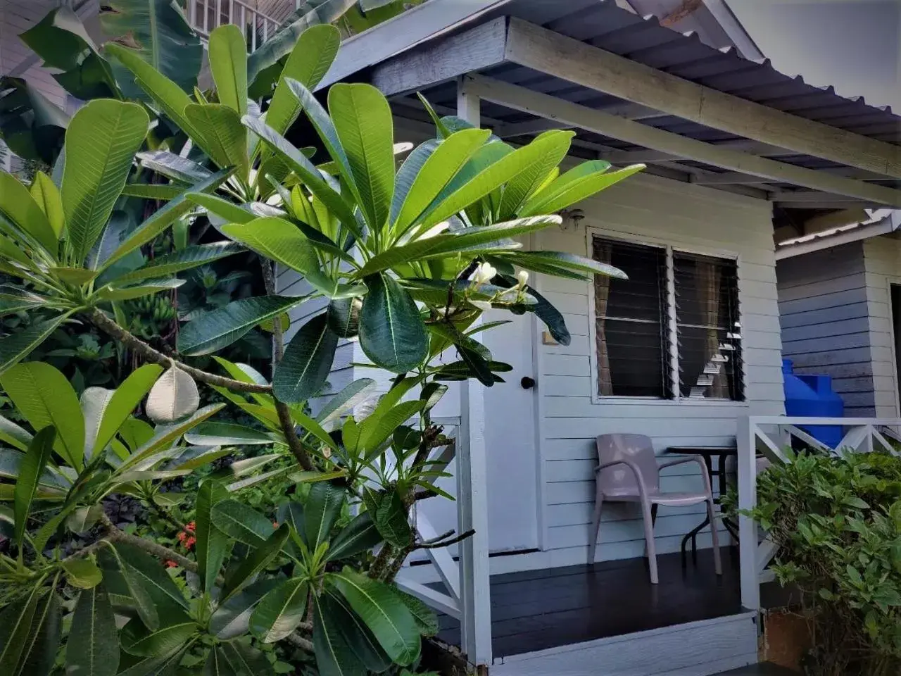 Superior garden view in Uphill Cottage Superior garden view in Uphill Cottage