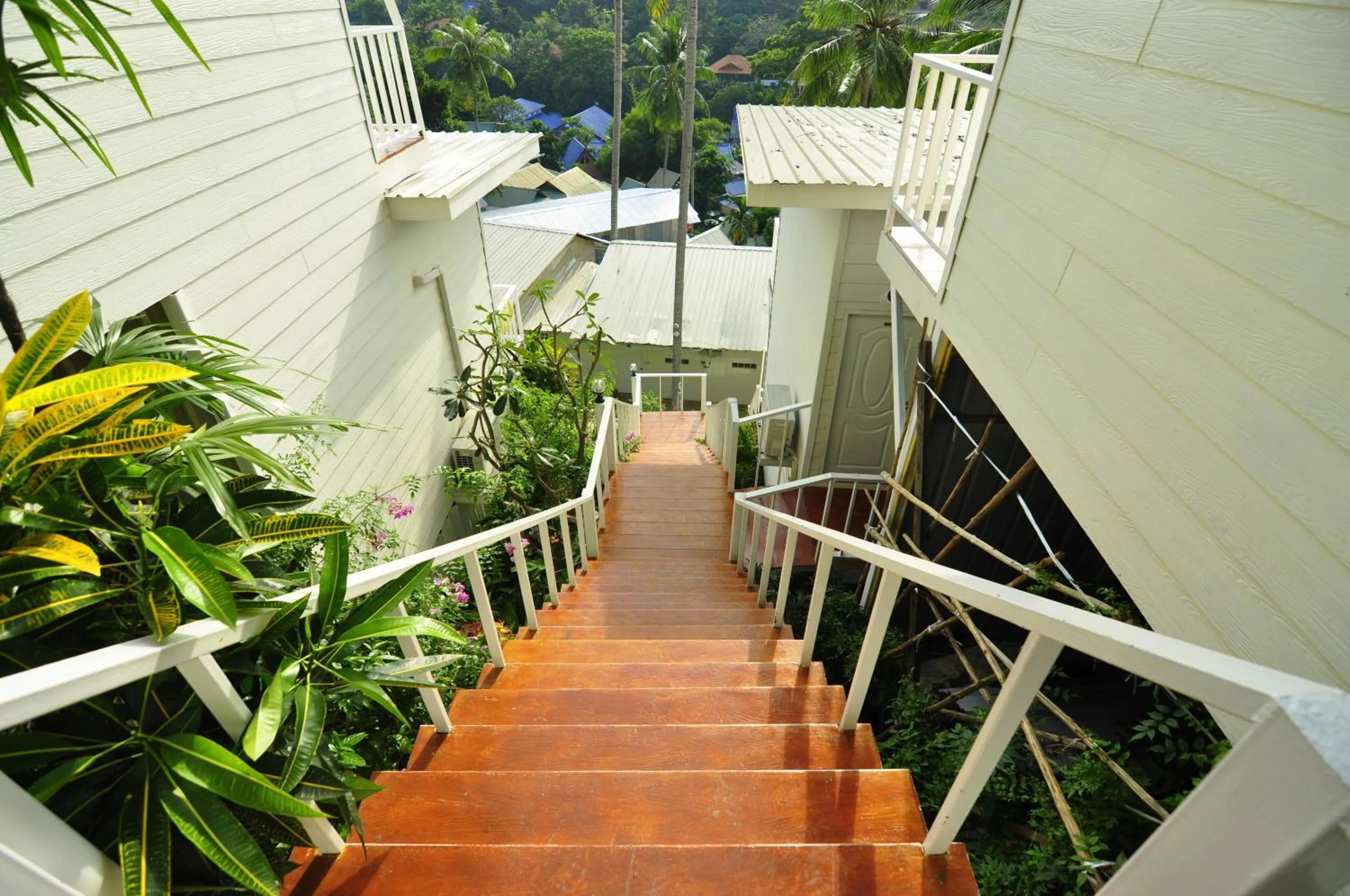 Bird's eye view in Uphill Cottage