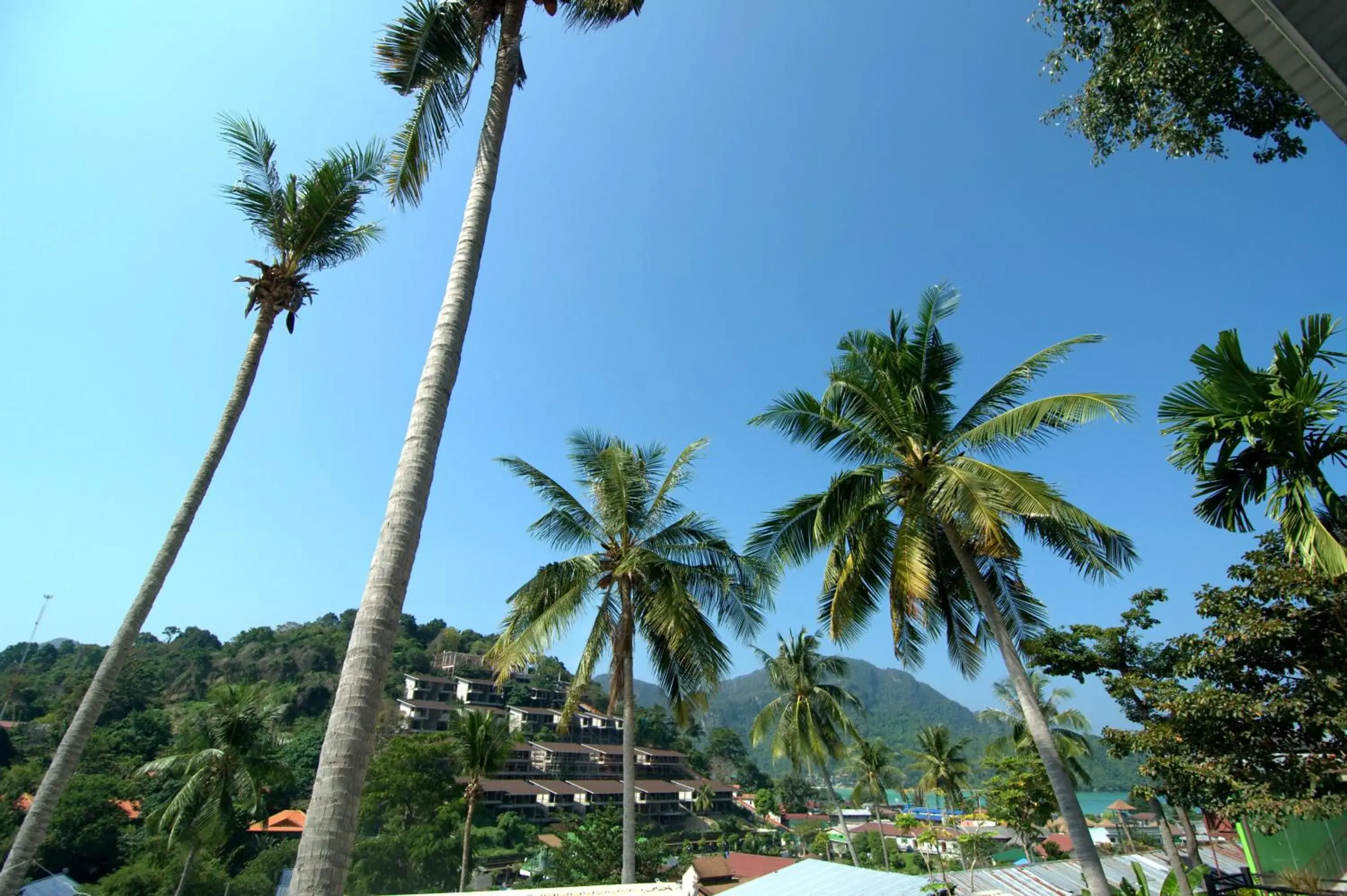 Sea view in Uphill Cottage Sea view in Uphill Cottage