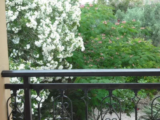 View (from property/room) in Summer Memories Aparthotel