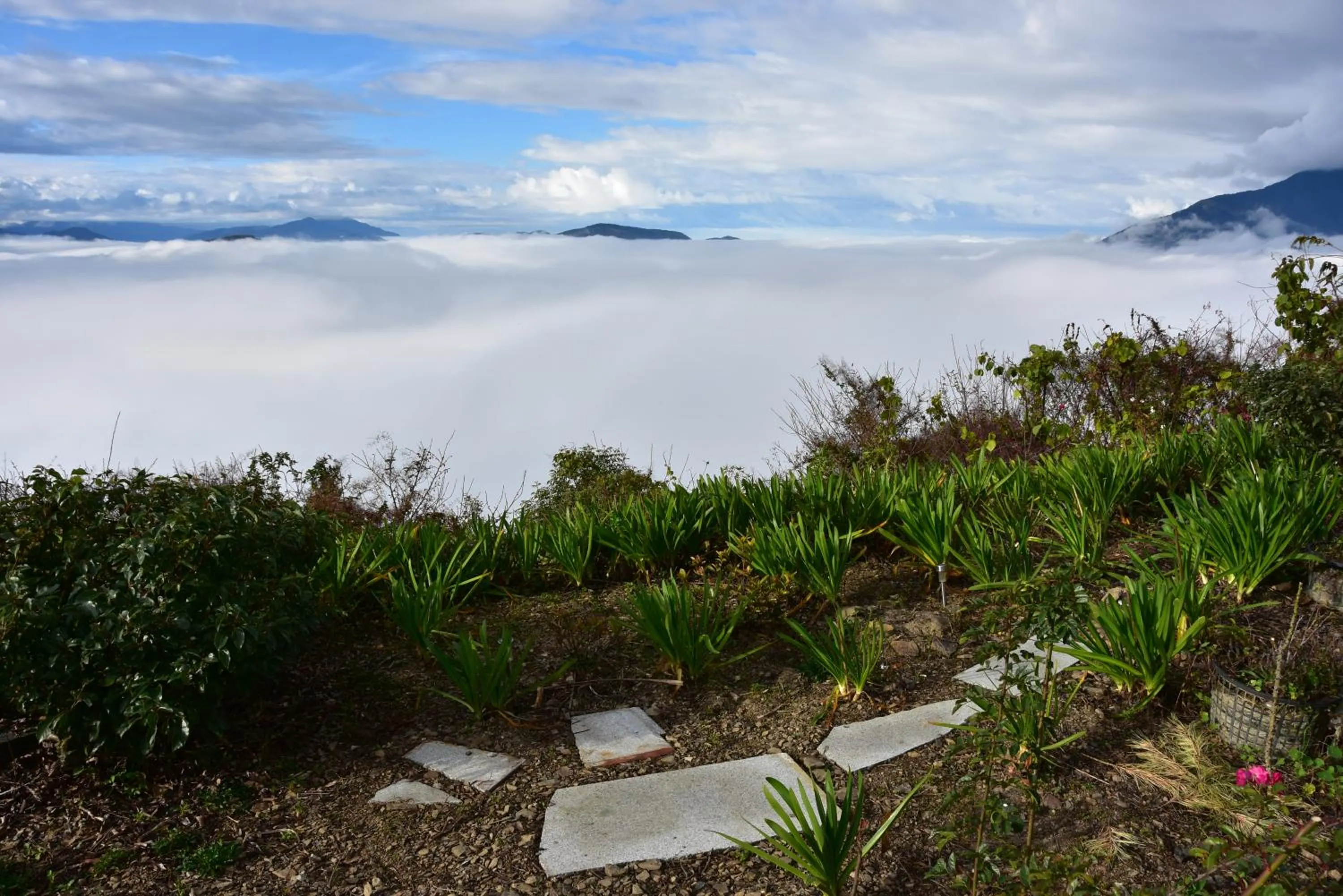 Spring in Shan Shui-Yuan Vege Guest House