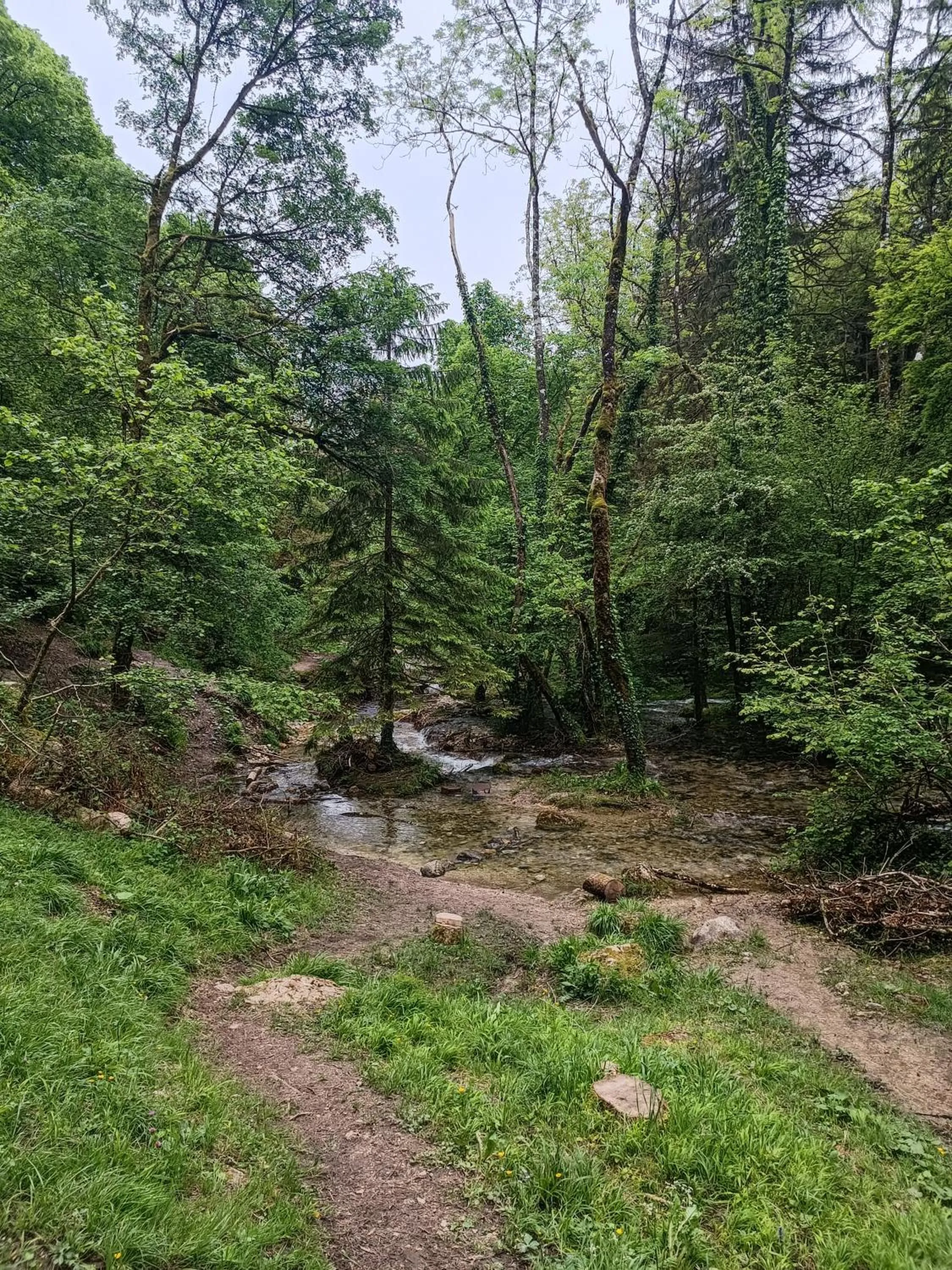 Natural landscape in Hotel Le Beauregard