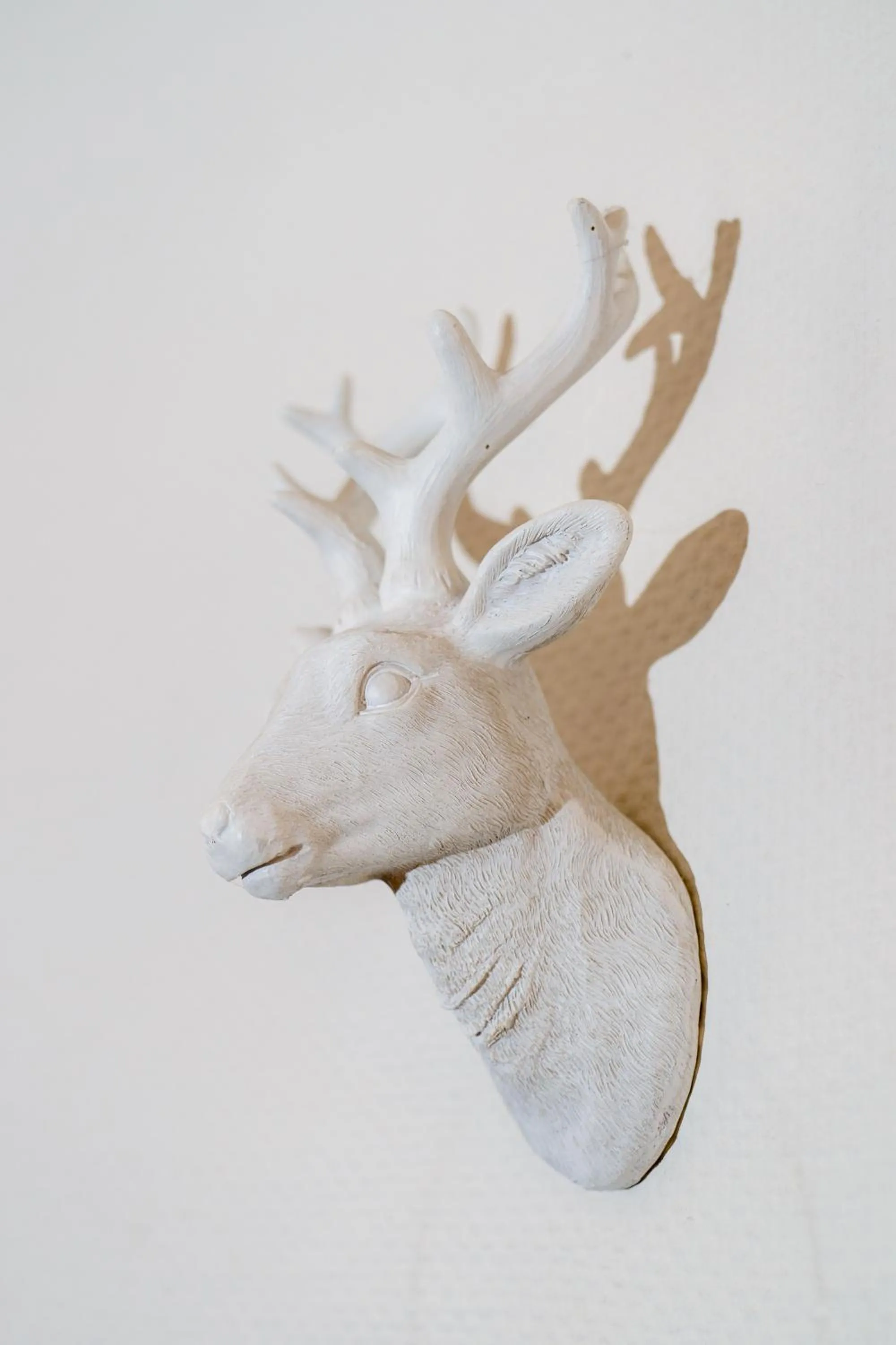 Logo/Certificate/Sign in Sax Imperial