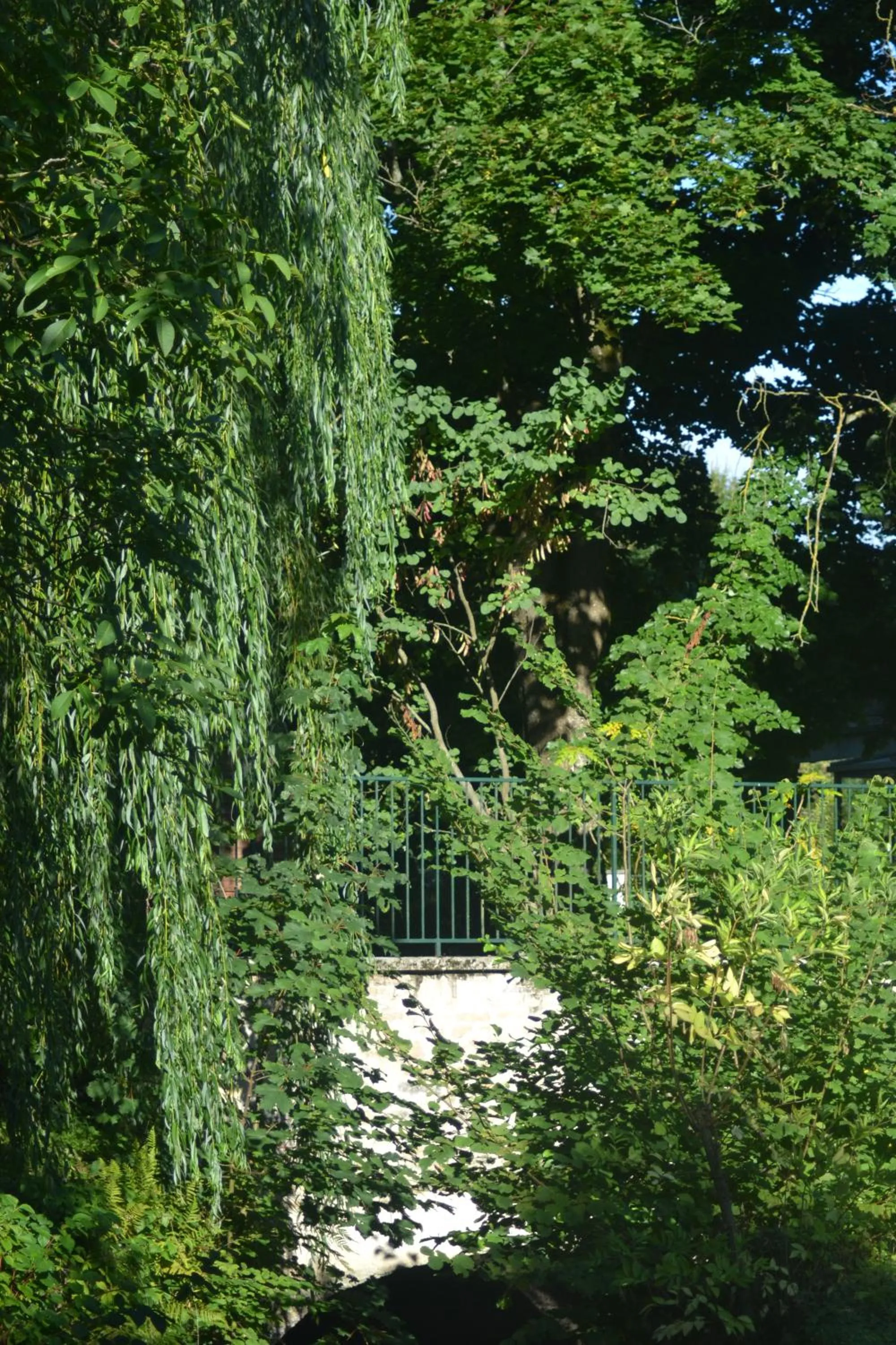 Garden in Les Cottages de la Norge