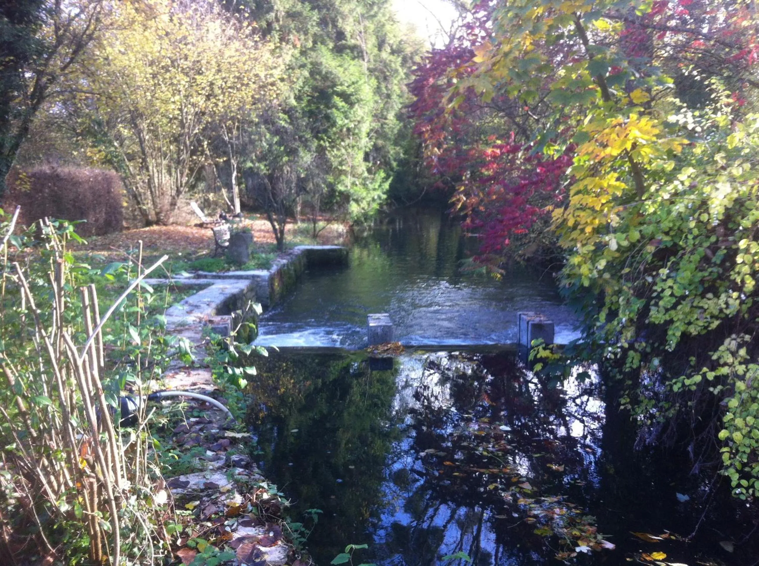 Garden view in Les Cottages de la Norge