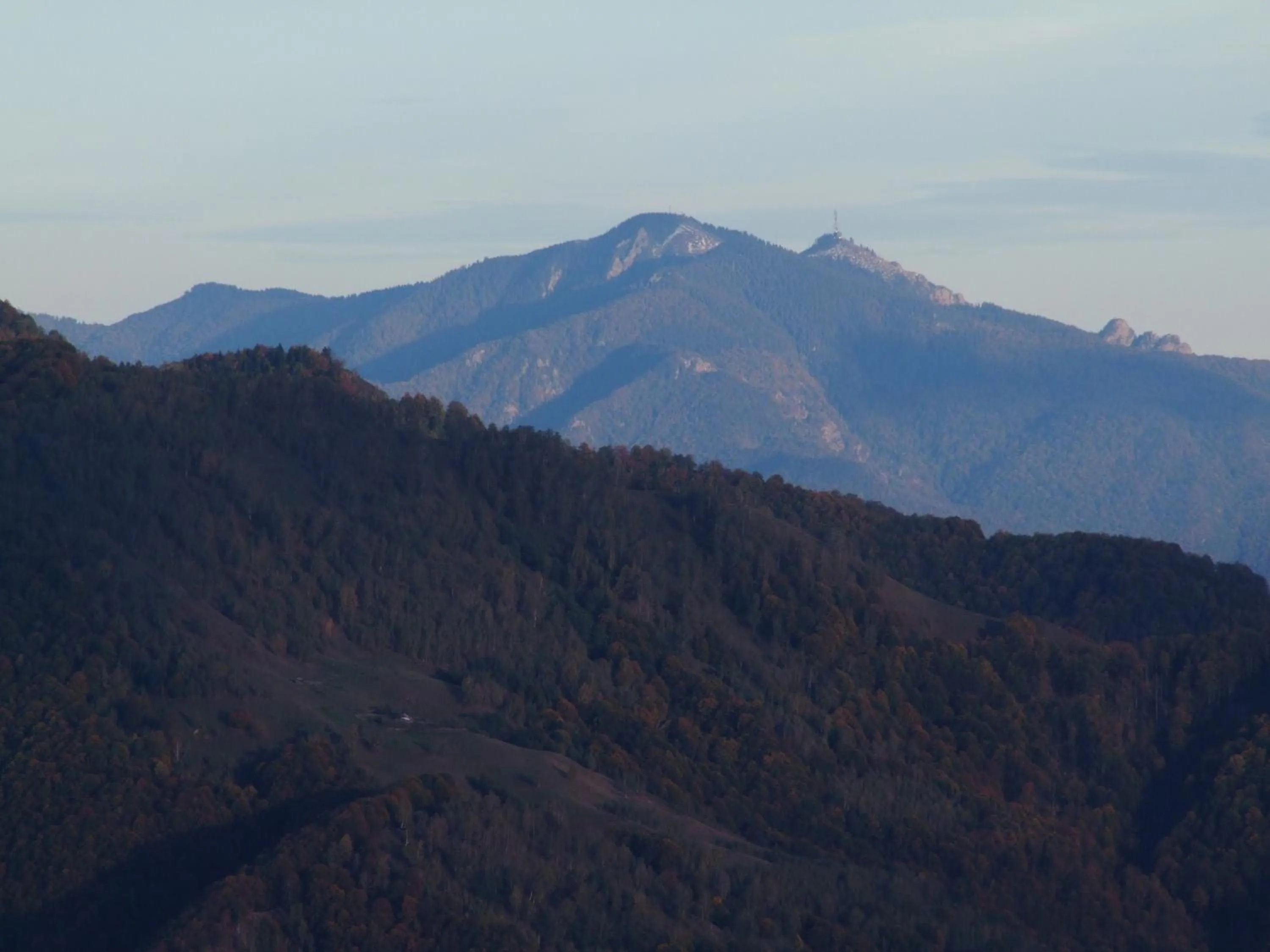 Property building in Vila Ursul