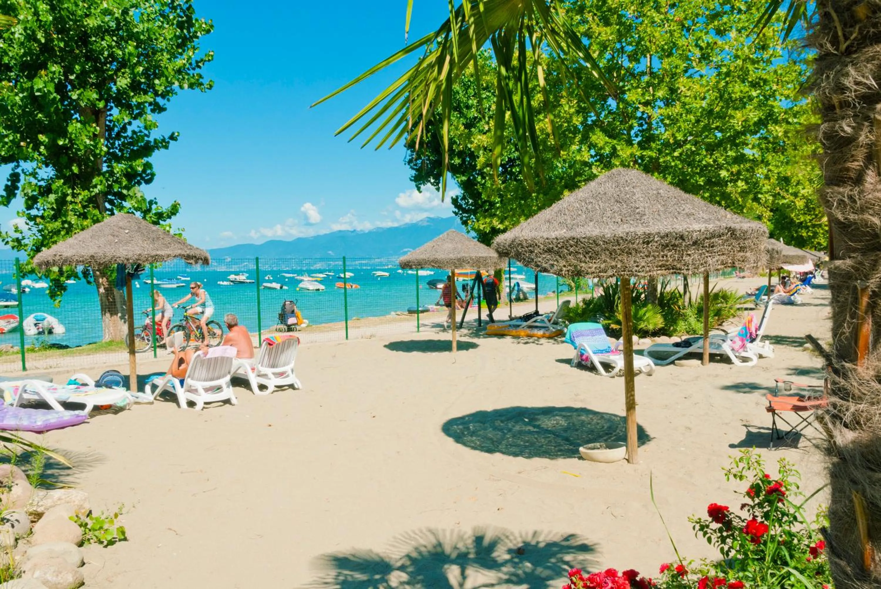 Beach in Camping Cisano - San Vito