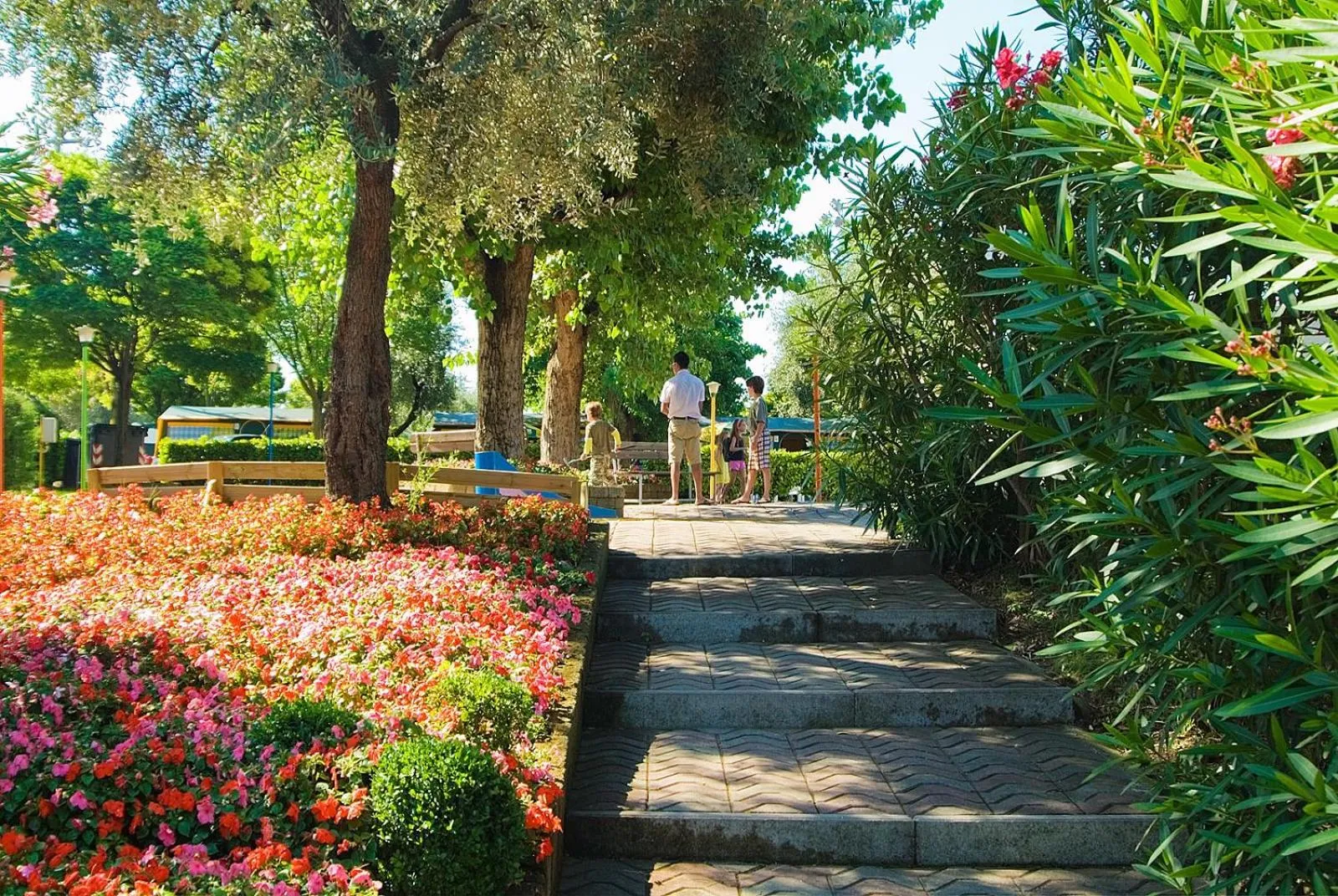 Day in Camping Cisano - San Vito