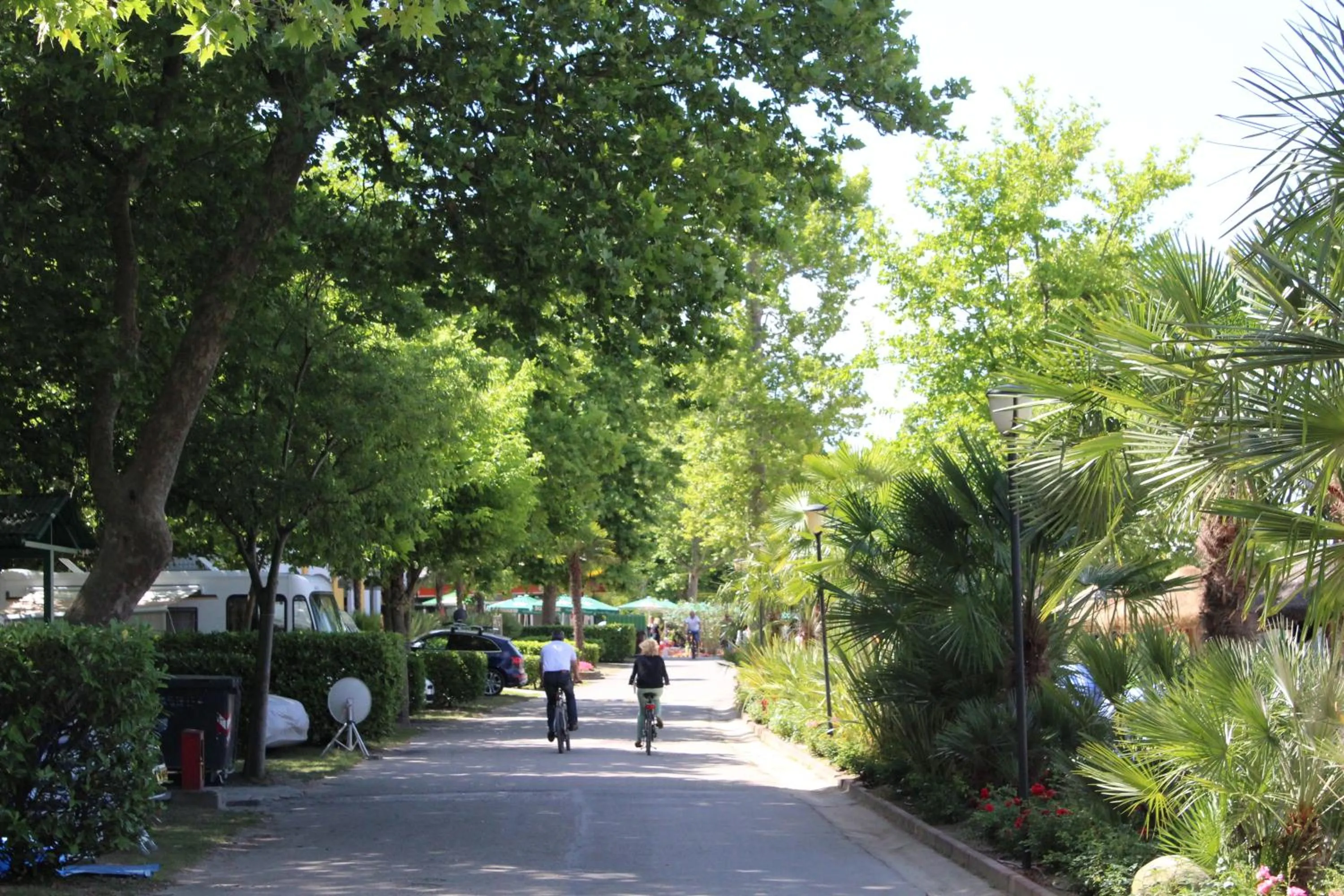 Day in Camping Cisano - San Vito