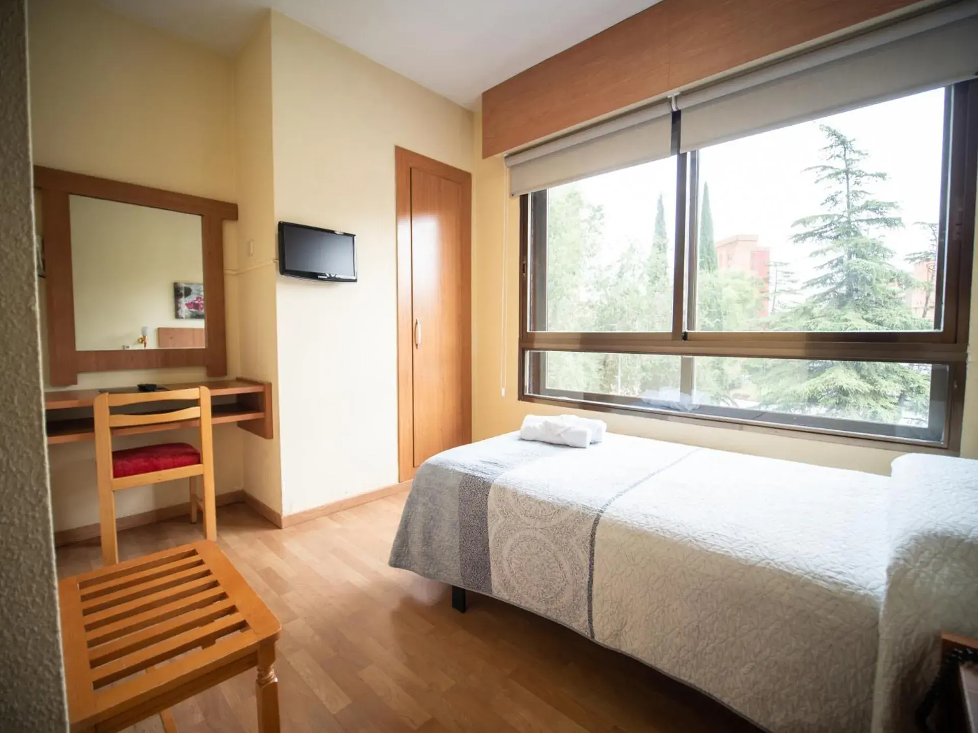 Single Room in Hotel Castilla Single Room in Hotel Castilla