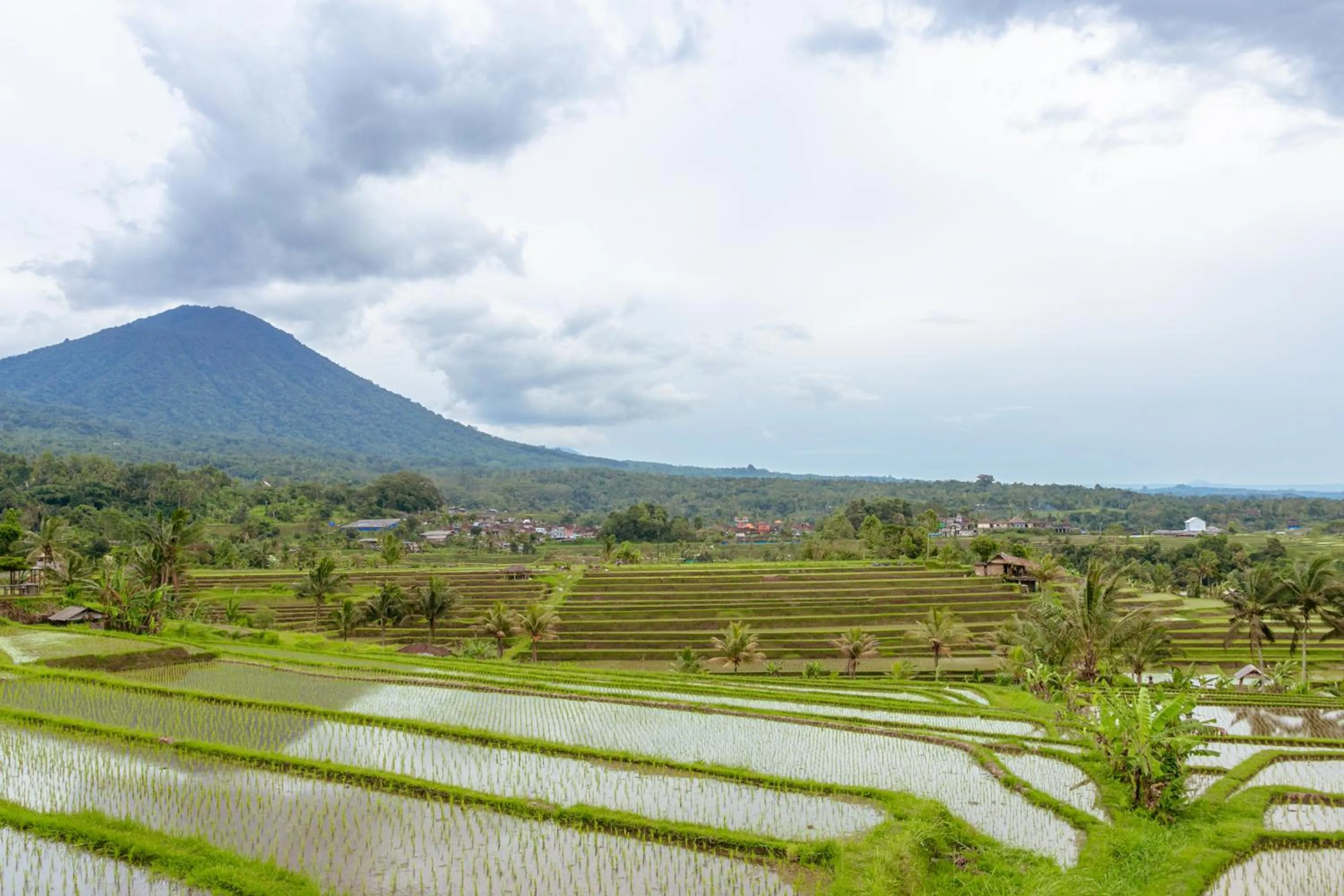 Natural landscape in Bhuana Agung Villa and Restaurant