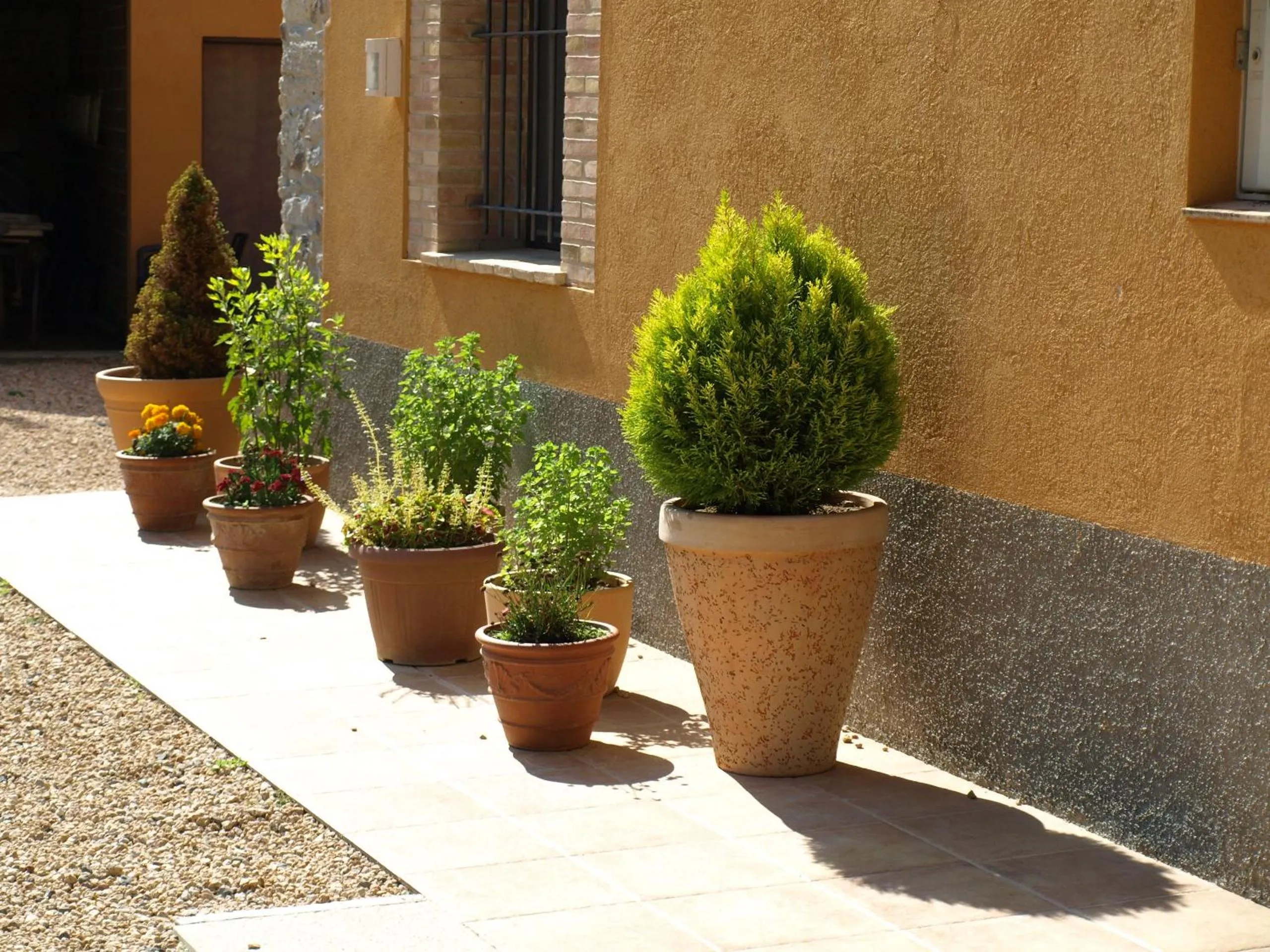 Garden in Can Dalemus