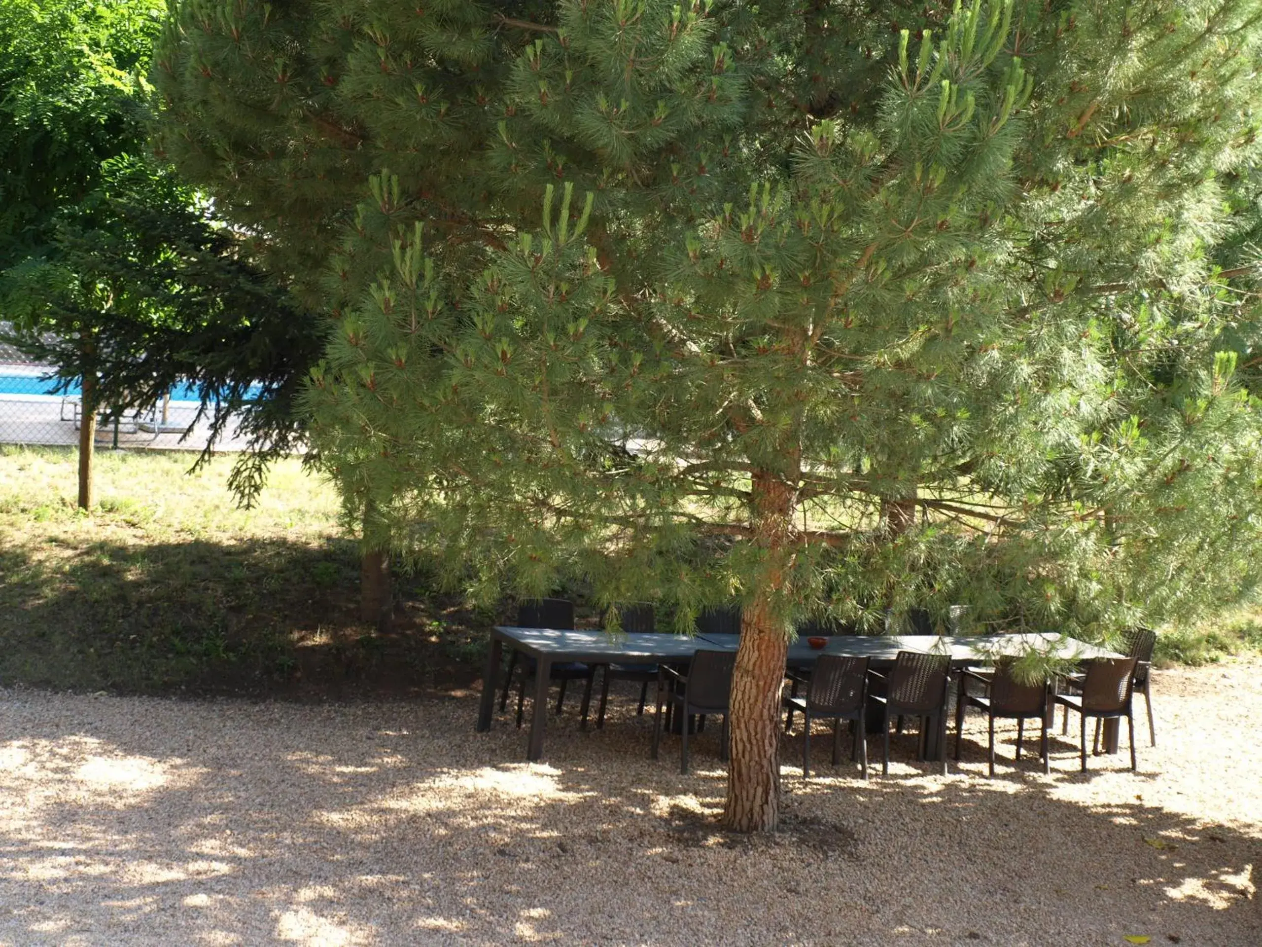 Can Dalemus Can Dalemus