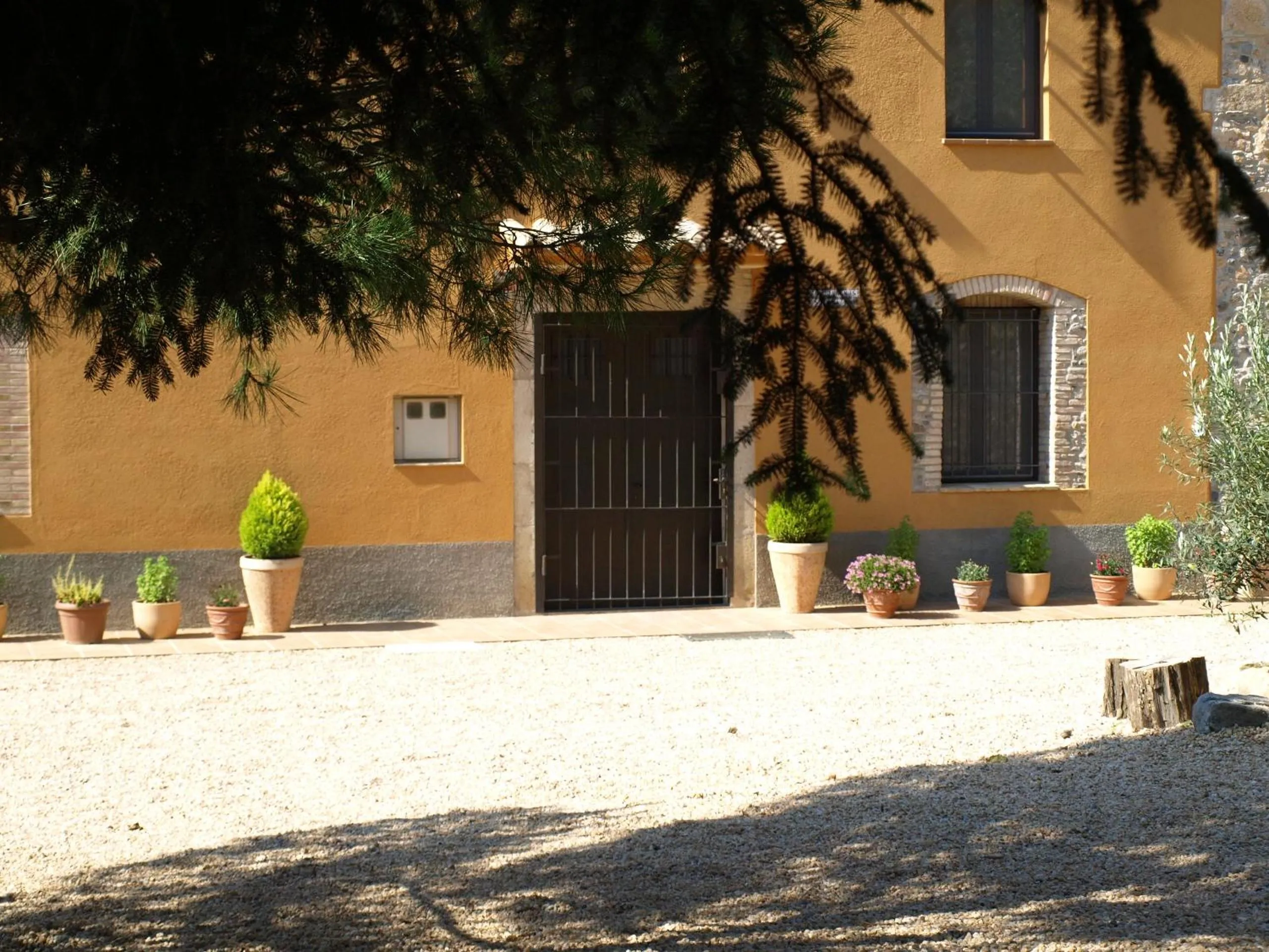 Garden in Can Dalemus