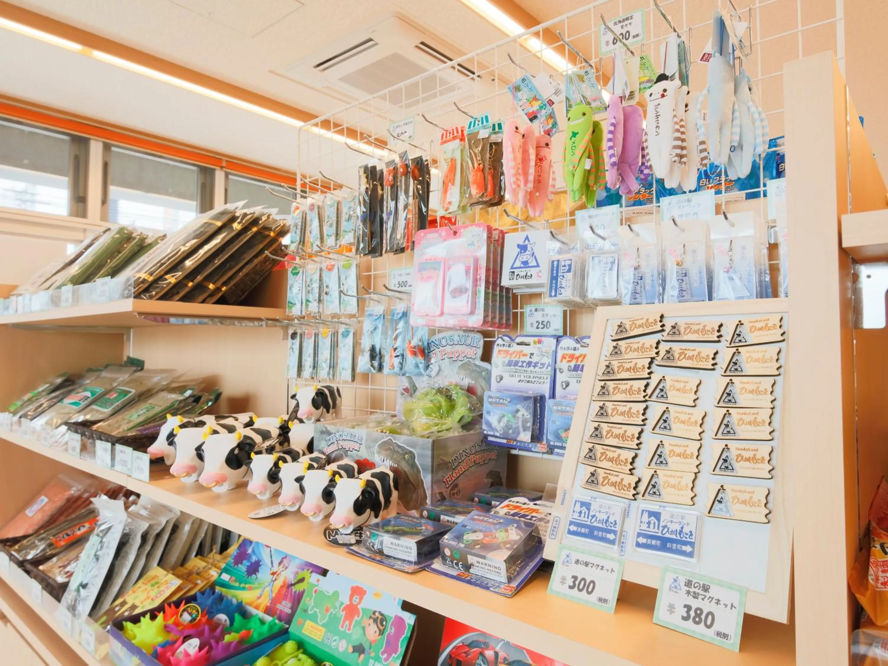 Shopping Area in Hotel Higashimokoto