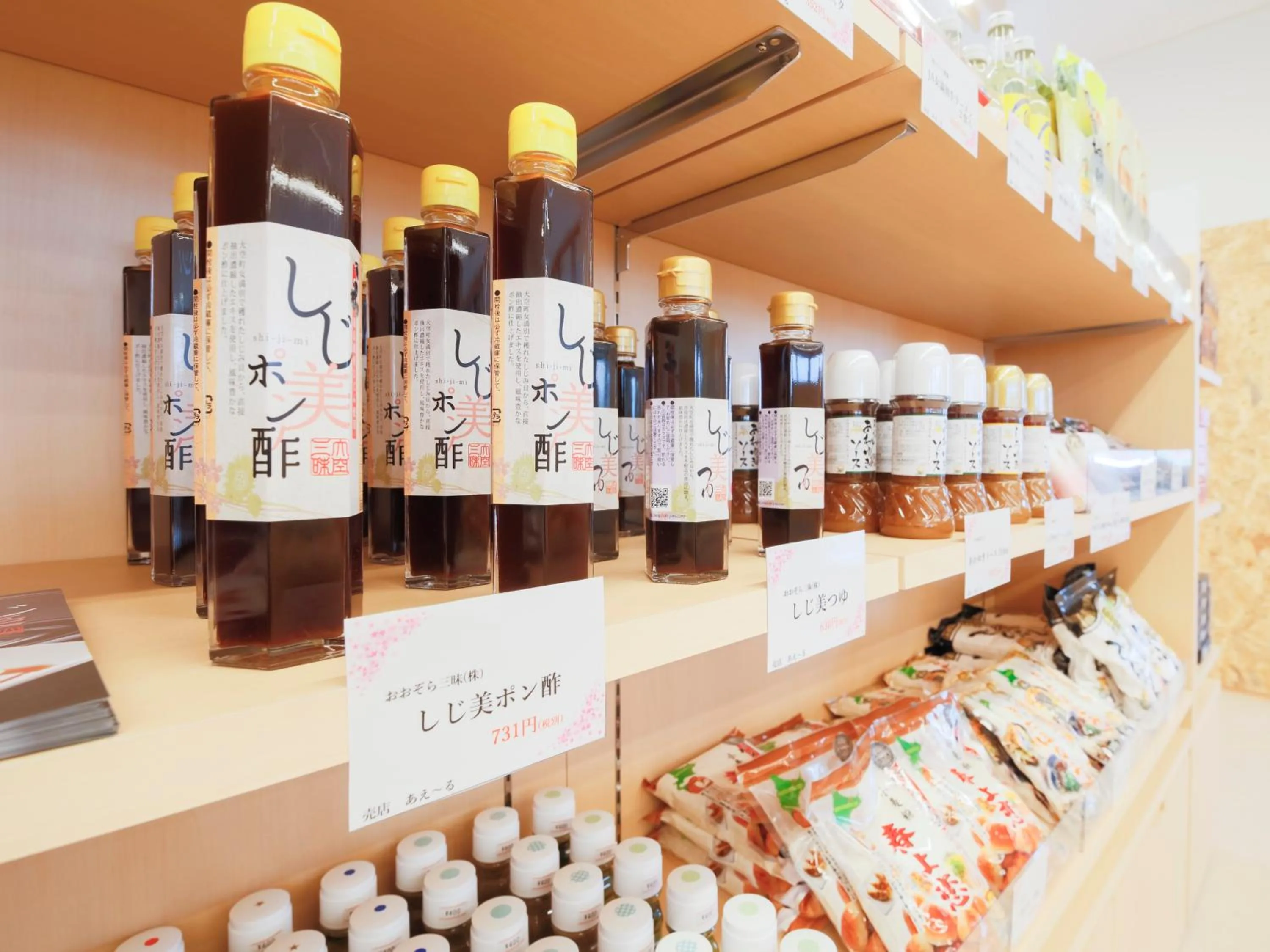 Shopping Area in Hotel Higashimokoto