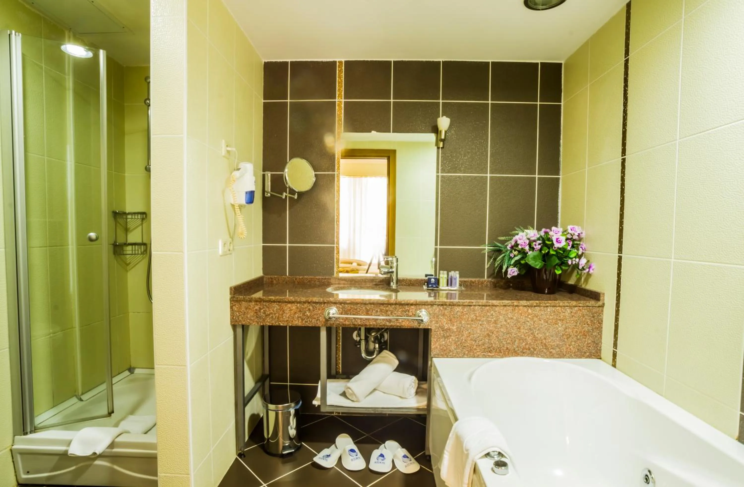 Bathroom in Ridos Thermal Hotel & Spa