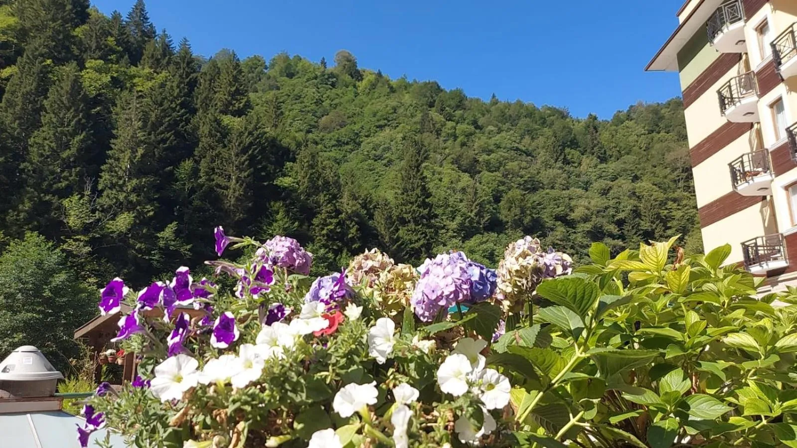 Property building in Ridos Thermal Hotel & Spa