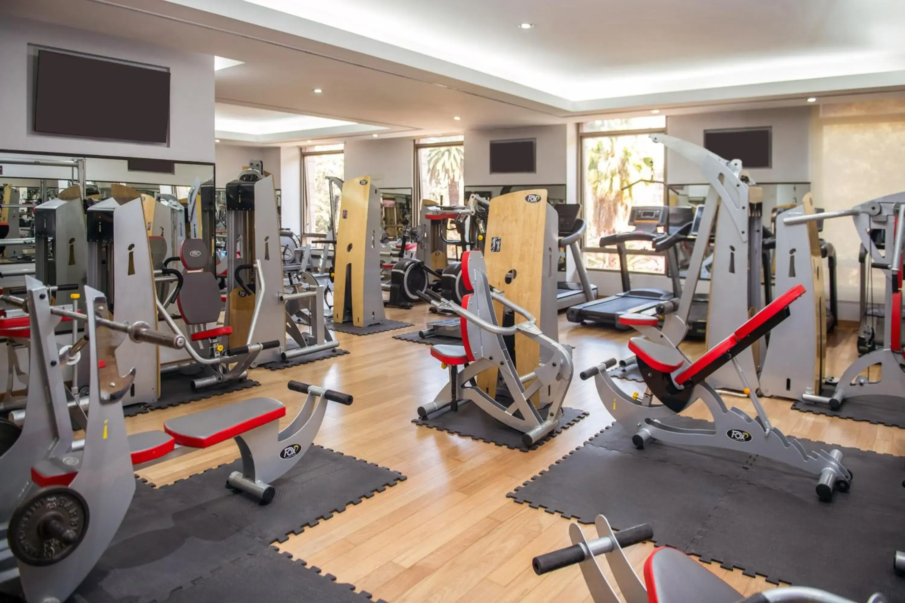 Fitness centre/facilities in Hotel Alejandro I - Affiliated by Meliá Fitness centre/facilities in Hotel Alejandro I - Affiliated by Meliá