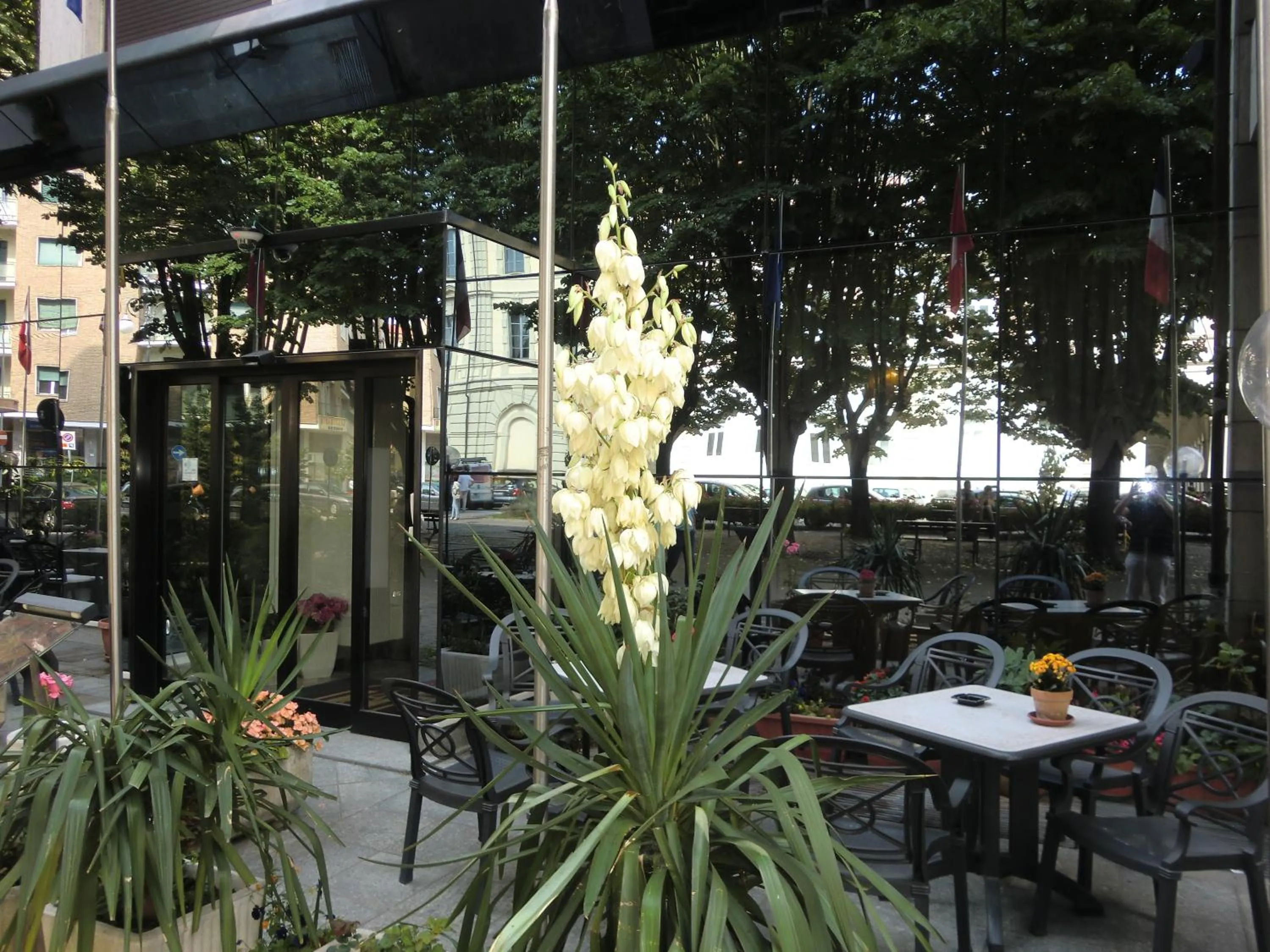 Patio in Hotel Ariston