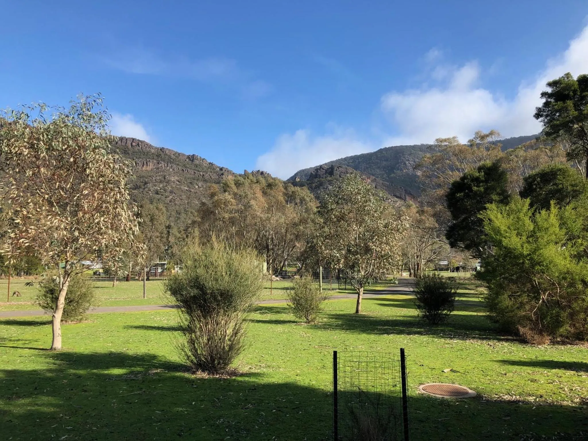 Natural landscape in Bushland